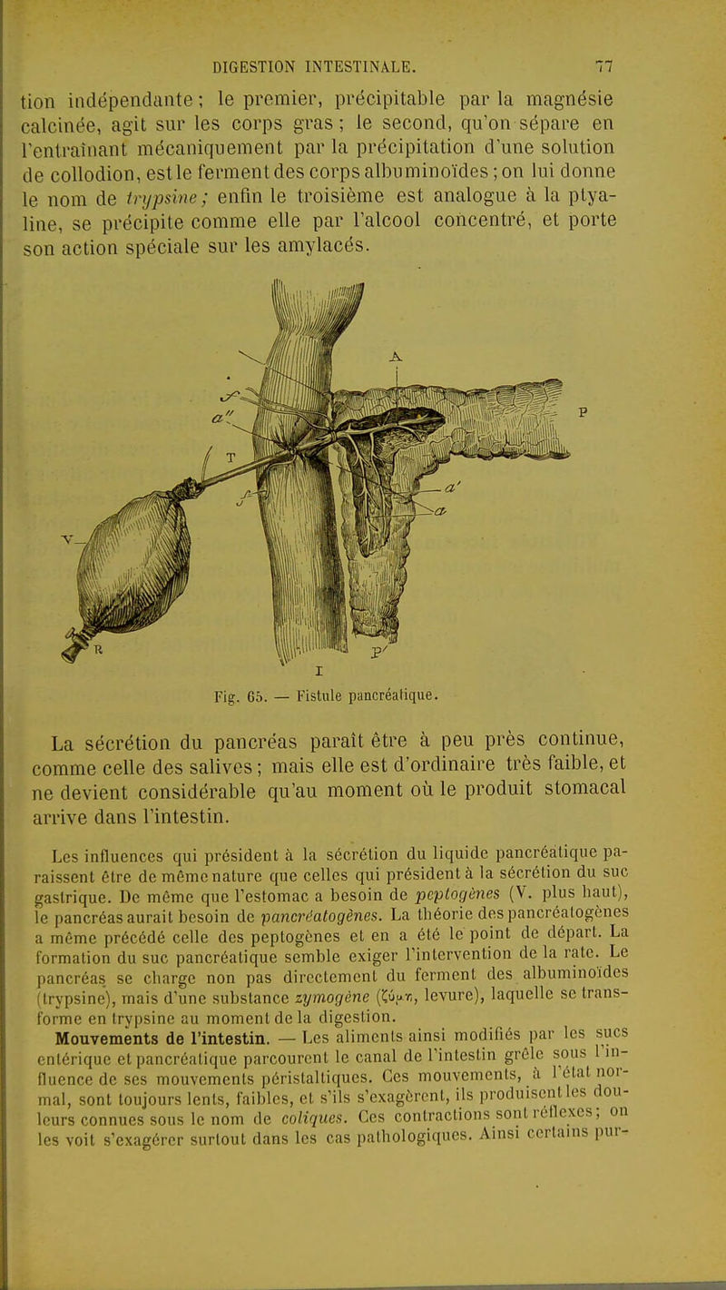 tion indépendante ; le premier, précipitable par la magnésie calcinée, agit sur les corps gras; le second, qu'on sépare en Tentraînant mécaniquement par la précipitation d'une solution de coUodion, est le ferment des corps albuminoïdes ; on lui donne le nom de trypsine ; enfin le troisième est analogue à la ptya- line, se précipite comme elle par l'alcool concentré, et porte son action spéciale sur les amylacés. Fig, 65. — Fistule pancréatique. La sécrétion du pancréas parait être à peu près continue, comme celle des salives ; mais elle est d'ordinaire très faible, et ne devient considérable qu'au moment où le produit stomacal arrive dans l'intestin. Les influences qui président à la sécrétion du liquide pancréatique pa- raissent être de même nature que celles qui président à la sécrétion du suc gastrique. De même que l'estomac a besoin de peplogènes (V. plus haut), le pancréas aurait besoin de pancréatogènes. La théorie des pancréalogènes a même précédé celle des peptogènes et en a été le point de départ. La formation du suc pancréatique semble exiger l'intervention de la rate. Le pancréas se charge non pas directement du ferment des albuminoïdes (trypsine), mais d'une substance zymogène (îlûar,, levure), laquelle se trans- forme en trypsine au moment de la digestion. Mouvements de l'intestin. — Les aliments ainsi modifiés par les sucs enlérique et pancréatique parcourent le canal de l'intestin grêle sous l'in- fluence de ses mouvements péristaltiques. Ces mouvements, à l'état nor- mal, sont toujours lents, faibles, et s'ils s'exagèrent, ils produisent les dou- leurs connues sous le nom de coliques. Ces contractions sont réflexes; on les voit s'exagérer surtout dans les cas pathologiques. Ainsi certains pur-