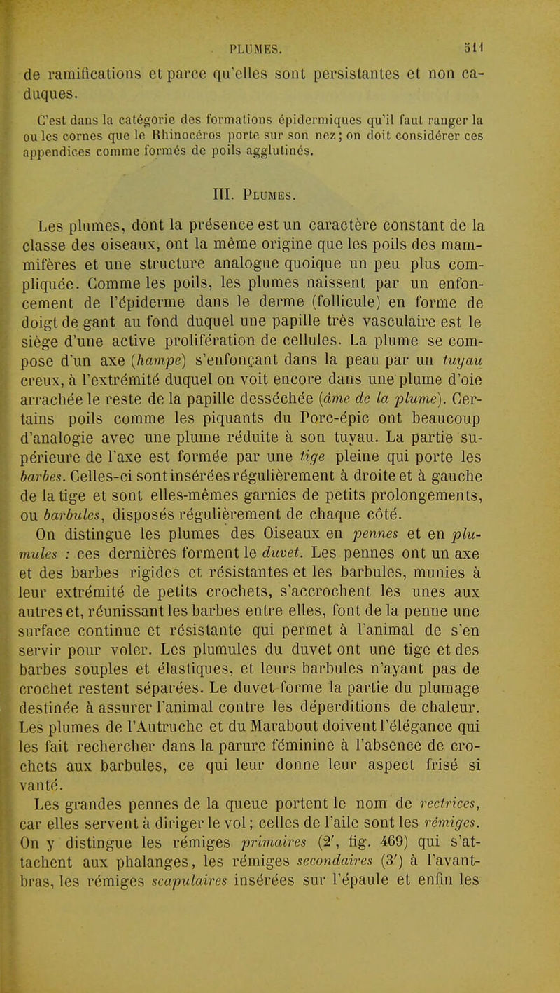 PLUMES. 5H de ramifications et parce qu'elles sont persistantes et non ca- duques. C'est dans la catégorie des formations cpidermiques qu'il faut ranger la ou les cornes que le Rhinocéros porte sur son nez; on doit considérer ces appendices comme formés de poils agglutinés. ni. Plumes. Les plumes, dont la présence est un caractère constant de la classe des oiseaux, ont la même origine que les poils des mam- mifères et une structure analogue quoique un peu plus com- pliquée. Comme les poils, les plumes naissent par un enfon- cement de répiderme dans le derme (follicule) en forme de doigt de gant au fond duquel une papille très vasculaire est le siège d'une active prolifération de cellules. La plume se com- pose d'un axe (hampe) s'enfonçant dans la peau par un tuyau creux, à l'extrémité duquel on voit encore dans une plume d'oie arrachée le reste de la papille desséchée {âme de la plume). Cer- tains poils comme les piquants du Porc-épic ont beaucoup d'analogie avec une plume réduite à son tuyau. La partie su- périeure de l'axe est formée par une tige pleine qui porte les barbes. Celles-ci sont insérées régulièrement à droite et à gauche de la tige et sont elles-mêmes garnies de petits prolongements, ou barbules, disposés régulièrement de chaque côté. On distingue les plumes des Oiseaux en pennes et en plu- mules : ces dernières forment le duvet. Les pennes ont un axe et des barbes rigides et résistantes et les barbules, munies à leur extrémité de petits crochets, s'accrochent les unes aux autres et, réunissant les barbes entre elles, font de la penne une surface continue et résistante qui permet à l'animal de s'en servir pour voler. Les plumules du duvet ont une tige et des barbes souples et élastiques, et leurs barbules n'ayant pas de crochet restent séparées. Le duvet forme la partie du plumage destinée à assurer l'animal contre les déperditions de chaleur. Les plumes de l'Autruche et du Marabout doivent l'élégance qui les fait rechercher dans la parure féminine à l'absence de cro- chets aux barbules, ce qui leur donne leur aspect frisé si vanté. Les grandes pennes de la queue portent le nom de rectrices, car elles servent à diriger le vol ; celles de l'aile sont les rémiges. On y distingue les rémiges primaires (2', iig. 469) qui s'at- tachent aux phalanges, les rémiges secondaires (3') à l'avant- bras, les rémiges scapulaires insérées sur l'épaule et enfin les