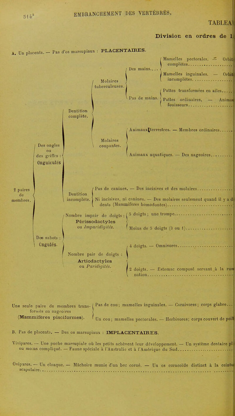 TABLEA1 i: Division en ordres de l| A. Un placenta. — Pas d'os marsupiaux : PLACENTAmES. Molaires tuberculeuses. Des mains.. Mamelles pectorales. — Orlntj complètes Mamelles inguinales, incomplètes Orbit^ /Pattes transformées en ailes... Pas de mains, p^jt^s ordinaires. - AnimaJ ' fouisseurs Dentition complète. .' Animauxjterrestres. — Membres ordinaires. 2 paires de membres. Des ongles ou des griffes : . Onguiculés Molaires \ coupantes. Animaux aquatiques. — Des nageoires. Pas do canines. — Des incisives et des molaires. Dentition incomplète. ) Ni incisives, ni canines. — Des molaires seulement quand il y a d dents (iMammifères liomoHontes). Nombre impair do doigts : ( ^°'^S^^ ' trompe. Périssodactyles \ Des sabots Cngulés. ou Imparidigitâs. Nombre pair do doigts Artiodactyles ou Paridiyitès. Moins de 5 doigts (3 ou 1). 4 doigts. — Omnivores 2 doigts. — Estomac composé servant_à la rue nation Une seule paire de membres trans- ( mamelles inguinales. — Carnivores; corps glabre... foriiics en nagooires } (Mammifères piscilormes). f mamelles peclorales. - Herbivores; corps couvert de poil B. Pas de placenta. — Des os marsupiaux : IMPLACENTAIRES. Vivipares. — Une poche marsupiale où les petits achèvent leur développement. — Un système dentaire pl ou moins compliqué. — Faune spéciale à l'Australie et à l'Amérique du Sud Ovipares. — Un cloaque. — Mâchoire munie d'un bec corné. — Un os coracoïde distinct à la ceintï scapulaire \