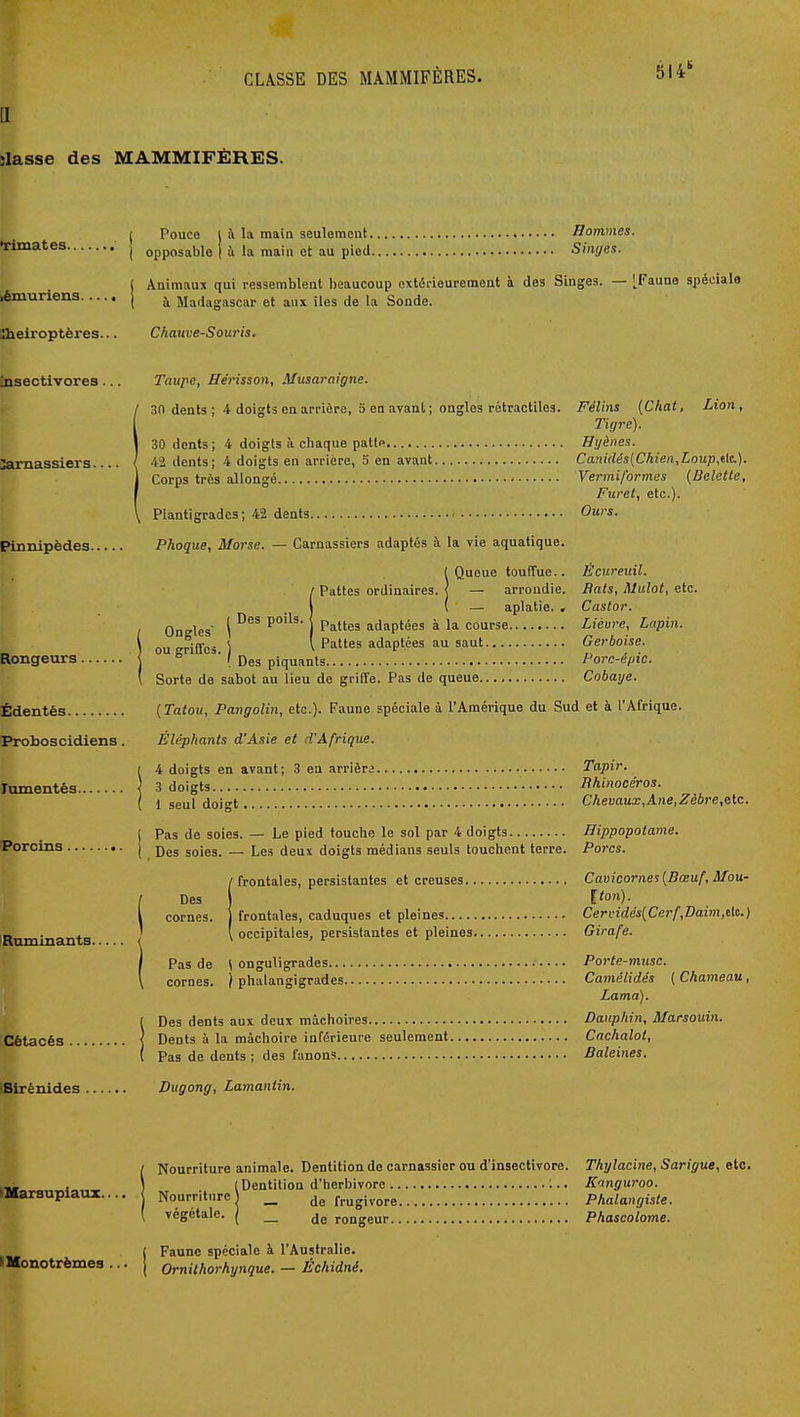 CLASSE DES MAMMIFÈRES. [I liasse des MAMMIFÈRES. 514 Timates. lémuriens Jheiroptères... Pouce l à la main seulement Hommes. opposable f à la main et au pied Sinyes. Animaus qui ressemblent beaucoup extérieurement à des Singes. — [Faune spécial» à Madagascar et aux îles de la Sonde. Chauve-Souris. iisectivores. Carnassiers.. Pinnipèdes Rongeurs I» Ëdentés Proboscidiens, lamentés Porcins Ruminants Cétacés ■Birénides Taupe, ffe'risson, Musaraigne. 30 dents ; 4 doigts en arrière, 3 en avant; ongles rétractiles. Félins (Chat, Lion, Tigre). 30 (lents; 4 doigls ii chaque patte Hyènes. 42 dents; 4 doigts en arrière, 5 en avant Camdés{Chien,Loup,tic). Corps très allongé Vermiformes {Belette, Furet, etc.). Plantigrades; 42 dents Ours. Phoque, Morse. — Carnassiers adaptés à la vie aquatique. Queue touffue.. Écureuil. I Pattes ordinaires. Ongles' Des poils. arrondie. Bats, Mulot, etc. aplatie. > Castor. Pattes adaptées à la course Lièvre, Lapin. ou griffes \ \ Pattes adaptées au saut Gerboise. ' Des piquants Porc-épic. Sorte de sabot au lieu de griffe. Pas de queue Cobaye. {Tatou, Pangolin, etc.). Faune spéciale à l'Amérique du Sud et à l'Afrique. Éléphants d'Asie et d'Afrique. 4 doigts en avant; 3 en arrièr3 Tapir. 3 doigts • Rhinocéros. i seul doigt Chevaux,Atie,Zèbre,etc. Pas de soies. — Le pied touche le sol par 4 doigts Hippopotame. Des soies. — Les deux doigts médians seuls touchent terre. Porcs. !frontales, persistantes et creuses Cavicornes {Bœuf, Mou- Iton). frontales, caduques et pleines Cervidés{Cerf,Daim,ilis.) occipitales, persistantes et pleines Girafe. Pas de \ onguligrades Porte-musc. cornes. ) phalangigrades Camélidés ( Chameau, Lama). Des dents aux deux mâchoires Dauphin, Marsouin. Dents à la mâchoire inférieure seulement Cachalot, Pas de dents ; des fanons Baleines. Dugong, Lamantin. ^Marsupiaux.... \ Nourriture Nourriture animale. Dentition de carnassier ou d'insectivore. Thylacine, Sarigue, etc. Dentition d'herbivore :.. Kanguroo. de frugivore Phalangiste. végétale. ( _ rongeur Phascolome. j Faune spéciale à l'Australie. HMonotrèmes ... j Omithorhynque. — Échidné.