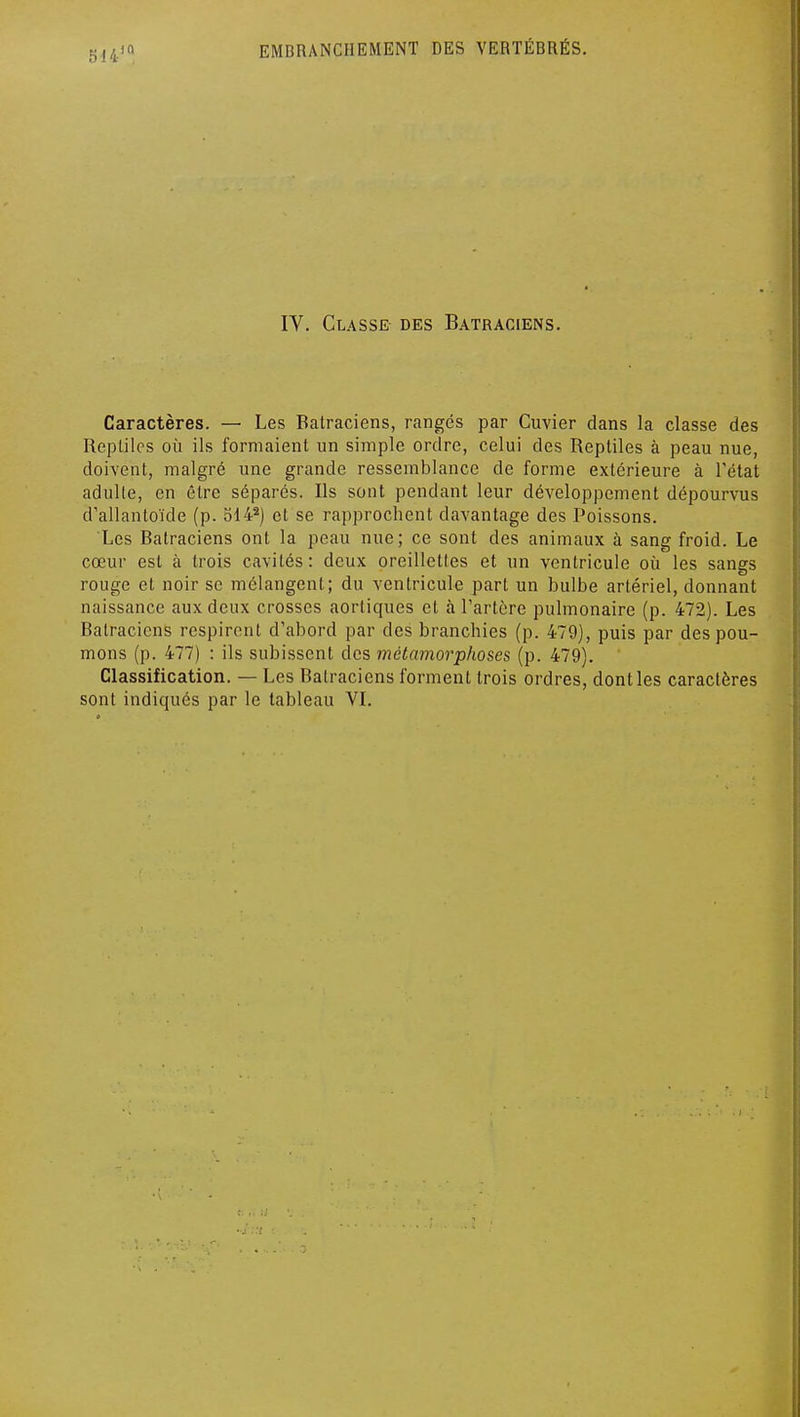 IV. Classe des Batraciens. Caractères. — Les Batraciens, rangés par Cuvier dans la classe des Reptiles où ils formaient un simple ordre, celui des Reptiles à peau nue, doivent, malgré une grande ressemblance de forme extérieure à Tétat adulte, en être séparés. Ils sont pendant leur développement dépourvus d'allantoïde (p. 514^) et se rapprochent davantage des Poissons. Les Batraciens ont la peau nue; ce sont des animaux à sang froid. Le cœur est à trois cavités: doux oreillettes et un ventricule où les sangs rouge et noir se mélangent; du ventricule part un bulbe artériel, donnant naissance aux deux crosses aorliques et à l'artère pulmonaire (p. 472). Les Batraciens respirent d'abord par des branchies (p. 479), puis par des pou- mons (p. 477) : ils subissent des métamorphoses (p. 479). Classification. — Les Batraciens forment trois ordres, dont les caractères sont indiqués par le tableau VL