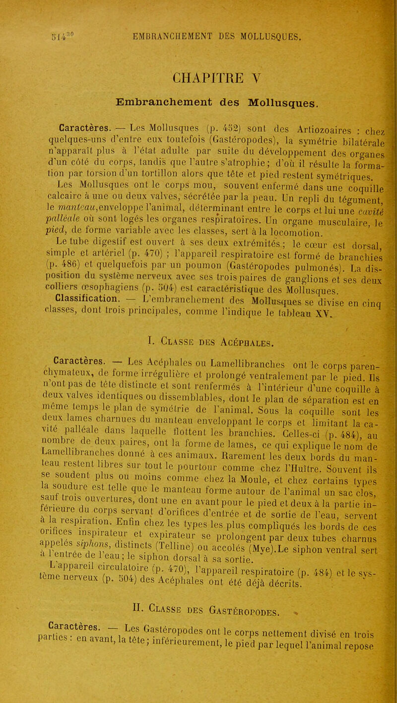 CHAPITRE V Embranchement des Mollusques. Caractères. — Les Mollusques (p. 452) sont, des Artiozoaires : chez quelques-uns d'entre eux toutefois (Gastéropodes), la symétrie bilatérale n'apparaît plus à l'état adulte par suite du développement des organes d'un côté du corps, tandis que l'autre s'atrophie ; d'où il résulte la forma- tion par torsion d'un tortillon alors que tête et pied restent symétriques. Les Mollusques ont le corps mou, souvent enfermé dans une coquille calcaire à une ou deux valves, sécrétée par la peau. Un repli du tégument le manteau,enveloppe l'animal, déterrninant entre le corps et lui une cavité palléale où sont logés les organes respiratoires. Un organe musculaire lo pied, de forme variable avec les classes, sert à la locomotion. Le tube digestif est ouvert à ses deux extrémités ; le cœur est dorsal simple et artériel (p. 470) ; l'appareil respiratoire est formé de branchies (p. 486) et quelquefois par un poumon (Gastéropodes pulmonés). La dis- position du système nerveux avec ses trois paires de ganglions et ses deux colliers œsophagiens (p. 504) est caractéristique des Mollusques. Classification. — L'embranchement des Mollusques se divise en cinq classes, dont trois principales, comme l'indique le tableau XV. I. Classe des Acéphales. Caractères. — Les Acéphales ou Lamellibranches ont le corps paren- chymaleux, de forme irréguliôrc et prolongé ventralement par le pied Ils n ont pas de téte distincte et sont renfermés à l'intérieur d'une coquille à deux valves identiques ou dissemblables, dont le plan de séparation est en même temps le plan de symétrie de l'animal. Sous la coquille sont les deux lames charnues du manteau enveloppant le corps et limitant la ca- vité pallealc dans laquelle llottent les branchies. Celles-ci (p 484) au nombre de deux paires, ont la forme de lames, ce qui explique le nom de Lamellibranches donné à ces animaux. Rarement les deux bords du man- eau restent libres sur tout le pourtour comme chez l'Huître. Souvent ils se soudent plus ou moins comme chez la Moule, et chez certains types a soudure est telle que le manteau forme autour de l'animal un sac clos, fTr ZT, avant pour le pied et deux à la partie in- fé eure du corps servant d'orifices d'entrée et de sortie de l'eau, servent orilefinf!; V'^''-^'^ '^P'' P^^ compliqués les bords de ces ZtZ l Tr^^ expirateur se prolongent par deux tubes charnus îvtllé^l^^^^^^^ ''''''' ^^Phon ventral sert a 1 entrée de 1 eau ; le siphon dorsal à sa sortie tél'ne'eiln'^IolTf '^a l^^^'/^PP^^^^il respiratoire (p. 484) et le svs- icme nerveux (p. 504) des Acéphales ont été déjà décrits II. Classe des Gastéropodes. * pa?tîeTtTvan7lA^.^''r'^P^'^'' '^ ^''^^rnenl divisé en trois parues . en avant, la tete ; intérieurement, le pied par lequel l'animal repose