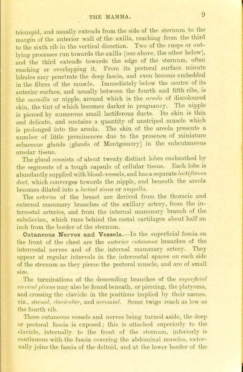 THE MAMMA. triciispicL and usually extends from the side of the sternum to the margm of the anterior wall of the axilla, reaching from the third to the sixth rib in the vertical drrection. Two of the cusps or out- Ipng processes run towards the axiUa (one above, the other below), and the third extends towards the edge of the sternum, often reaching or overlapping it. From its pectoral surface minute lobules may penetrate the deep fascia, and even become embedded in the fibres of the muscle. Immediately below the centre of its anterior surface, and usually between the fourth and fifth ribs, is the mamilki or nipple, around which is the areola of discoloured skin, the tint of which becomes darker in pregnancy. The nipple is pierced by numerous small lactiferous ducts. Its skin is thin and delicate, and contains a quantity of unstriped muscle which is prolonged into the areola. The skin of the areola presents a number of little prominences due to the presence of miniature sebaceous glands (glands of Montgomery) in the subcutaneous areolar tissue. The gland consists of about twenty distinct lobes ensheathed by the segments of a tough capsule of cellular tissue. Each lobe is abundantly supplied with blood-vessels, and has a separate lar.tiferons dud, which converges towards the nipple, and beneath the areola becomes dilated into a lacteal sinus or ampulla. The arteries of the breast are derived from the thoracic and external mammary branches of the axillary artery, from the in- tercostal arteries, and from the internal mammary branch of the subclavian, which runs behind the costal cartilages about half an inch fi-om the border of the sternum. Cutaneous Nerves and Vessels.—In the superficial fascia on the front of the chest are the anterior cutaneous branches of the intercostal nerves and of the internal mammary artery. They appear at regular intervals in the intercostal spaces on each side of the sternum as they pierce the pectoral muscle, and are of small size. The terminations of the descending branches of the superficial cerncdl plexus mny also he found beneath, or piercing, the platysma, and crossing the clavicle in the positions iniplied by thciir nanics, viz., sternal, clavicular, and acromial. Some twigs reach as low as the foui'th rib. These cutaneous vessels and nerves being turned aside, the deeji or pectoral fascia is exposed ; this is attached superiorly to the clavicle, internally to the front of the sternum, inferiorlj' is continuous with the fascia c(ivoring the abdominal muscles, exter- nally joins the fascia of the deltoid, and at the lower border of the
