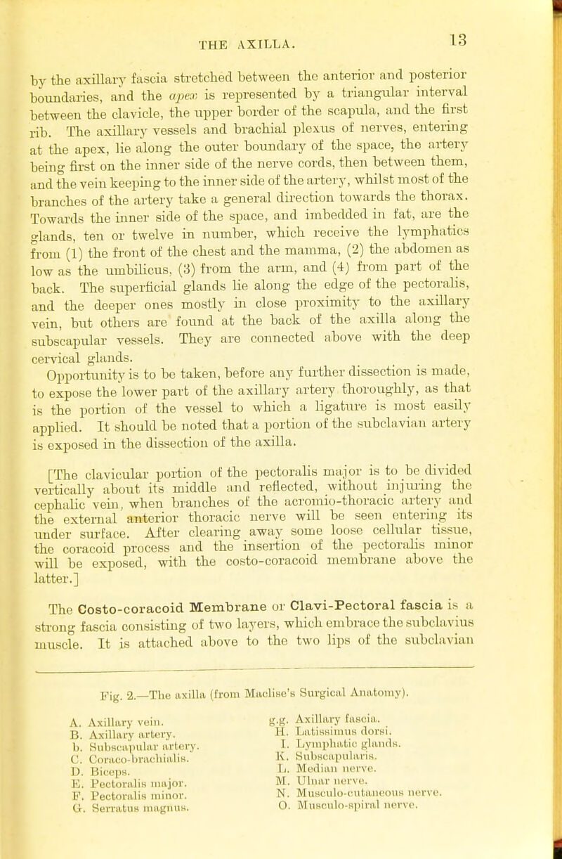by the axillary fascia stretched between the anterior and posterior boundaiies, and the apex is represented by a triangular interval between the clavicle, the upper border of the scapula, and the first rib. The axillary vessels and brachial plexus of nerves, entering at the apex, lie along the outer boundary of the space, the artery being first on the inner side of the nerve cords, then between them, and the vein keeping to the inner side of the artery, whilst most of the branches of the artery take a general dii-ection towards the thorax. Towards the inner side of the space, and imbedded in fat, are the glands, ten or twelve in number, which receive the lymphatics from (1) the fi'ont of the chest and the mamma, (2) the abdomen as low as the umbilicus, (3) from the arm, and (4) from part of the back. The superficial glands lie along the edge of the pectoralis, and the deeper ones mostly in close proximity to the axillary vein, but others are found at the back of the axilla along the subscapular vessels. They are connected above with the deep cervical glands. Oppoi-tunitj-is to be taken, before any further dissection is made, to expose the lower part of the axillary artery thoroughly, as that is the portion of the vessel to which a ligature is most easily applied. It should be noted that a portion of the subclavian artery is exposed in the dissection of the axilla. [The clavicular portion of the pectoralis major is to be divided vertically about its middle and reflected, without injmmg the cephalic vein, when branches of the acromio-thoracic artery and the external anterior thoracic nerve will be seen entering its under sm-face. After clearing away some loose cellular tissue, the coracoid process and the insei-tion of the pectoralis minor will be exposed, with the costo-coracoid membrane above the latter.] The Costo-coracoid Membrane or Clavi-Pectoral fascia is a strong fascia consisting of two layers, which embrace the subclavius muscle. It is attached above to the two lips of the subclavian Fig. 2.—The axilla (from MacliHo's Surgical Anatomy). A. Axillary vein. B. Axillary artery. 1). Subscapular artery. C Coraco-bracliialis. D. Biceps. K. Pectoralis nuijor. P. Pectoralis minor, ti. Serratus niagnuB. g.g. Axillary fascia. H. Latissimus dorsi. L Lymphatic glands. K. Subscapularis. Ii. Median ner\-e. M. Ulnar nerve. N. Museulo-c^utaneous nerve. O. Musculo-si)iral nerve.