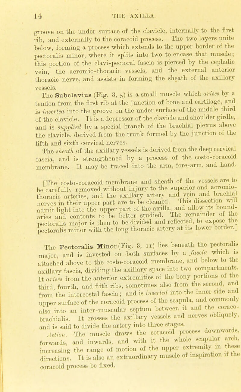 groove on the imcler surface of the clavicle, internally to the first rib, aud externally to the coracoid process. The two layers unite below, forming a process which extends to the upper border of the pectoralis minor, where it splits into two to encase that muscle; this portion of the clavi-pectoral fascia is pierced by the cephalic vein, the acromio-thoracic vessels, and the external anterior thoracic nerve, and assists in forming the sheath of the axillary vessels. The Subclavius (Fig. 3, 5) is a small muscle which (irises by a tendon from the first rib at the junction of bone and cartilage, and is inserted into the groove on the under surface of the middle thii-d of the clavicle. It is a depressor of the clavicle aud shoulder gii-dle, and is supjjlied by a special branch of the brachial plexus above the clavicle, derived from the trunk formed by the junction of the fifth and sixth cervical nerves. The sheath of the axillary vessels is derived from the deep cervical fascia, and is strengthened by a process of the costo-coracoid membrane. It may be traced into the arm, fore-arm, and hand. [The costo-coracoid membrane and sheath of the vessels are to be carefully removed without injmy to the superior and acromio- thoracic arteries, and the axillary artery and yem and brachial nerves in their upper part are to be cleaned. This dissection will admit light into the upper part of the axilla, and allow its bouncl- aries and contents to be better studied. The remainder of the pectoraHs major is then to be divided and reflected, to expose the pectoralis minor with the long thoracic artery at its lower border.] The Pectoralis Minor (Fig. 3, 11) lies beneath the pectoralis major, and is invested on both surfaces by a fascia which is attached above to the costo-coracoid membrane, and below to the axUlary fascia, cHviding the axillary space into two compai-tments. It arises from the anterior extremities of the bony portions of the third foui'th, and fifth ribs, sometimes also from the second, and from'the intercostal fascia; and is inserted into the inner side and upper surface of the coracoid process of the scapula, aud commonly also into an inter-muscular septum between it and the coraco- brachialis. It crosses the axiUary vessels and nerves obbquely. and is said to divifle the artery into three stages. Action.-Thi^ muscle draws the coracoid process downwards, forwards, and inwards, and with it the whole scapular arch, increasing the range of motion of the upper extremity in these directions. It is also an extraordinary muscle of inspiration if the coracoid process be fixed.