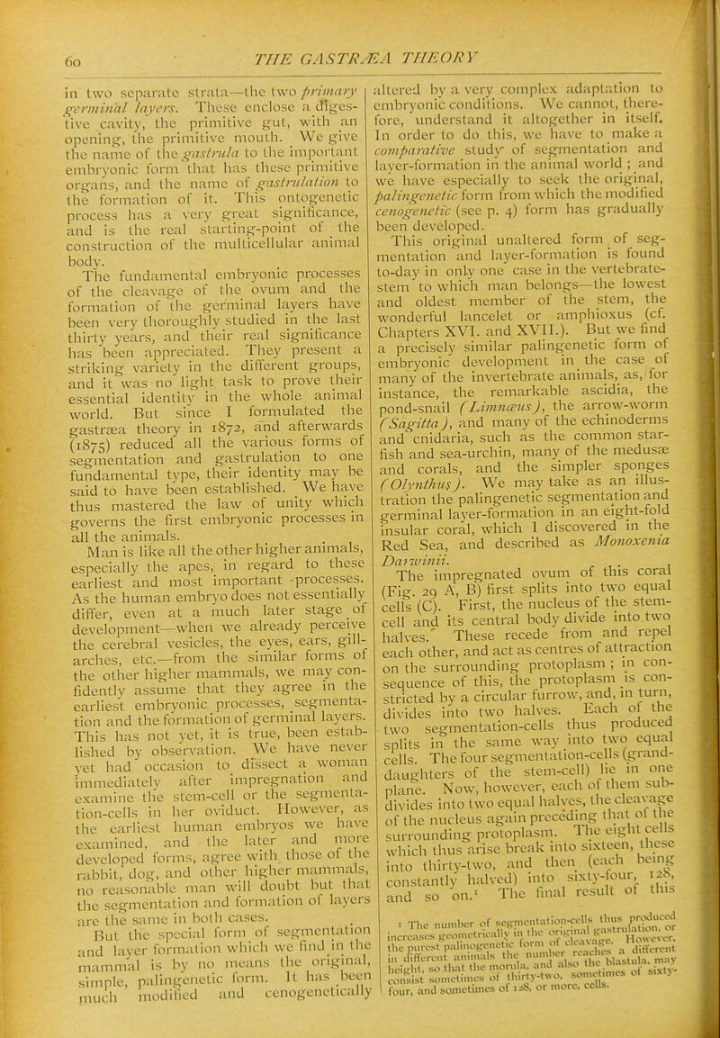 in two separate strata—the two primary germinal layers. These enclose a cfiges- tive cavity, the primitive gut, with an opening, the primitive mouth. We give the name of {.he gasfr/ila to the important embryonic form'that has these primitive organs, and the name of gastriihilion to the formation of it. This ontogenetic process has a very great significance, and is the real starting-point of _ the construction of the multicellular animal body. The fundamental embryonic processes of the cleavage of the ovum and the formation of the germinal layers have been very thoroughly studied in the last thirty years, and' their real significance has 'been appreciated. They present a striking variety in the different groups, and it was no light task to prove their essential identitv in the whole animal world. But since I formulated the gastrEEa theory in 1872, and afterwards (1875) reduced all the various forms of segmentation and gastrulation to one fundamental type, their identity may be said to have been established. We have thus mastered the law of unity which governs the first embryonic processes in all the animals. Man is like all the other higher anmials, especially the apes, in regard to these earliest and most important -processes. As the human embryo does not essentially differ, even at a much later stage of development—when we already perceive the cerebral vesicles, the eyes, ears, gill- arches, etc.—from the similar forms of the other higher mammals, we may con- fidently assume that they agree in the earliest embryonic processes, segmenta- tion and the formation of germinal layers. This has not yet, it is true, been estab- lished by observation. We have never yet had occasion to dFssect a woman immediately after impregnation and examine the stem-cell or the segmenta- tion-cells in her oviduct. However, as the earliest human embryos we have examined, and the later and more developed forms, agree with those of the rabbit, dog, and other higher mammals, no reasonable man will doubt but that the segmentation and formation ol layers are the same in both cases. But the special form of segmentation and layer formation which we find in the mammal is by no means the origmal, simple, palingenetic form. It has been much modified and cenogenetically altered by a very complex adaptation to embryonic conditions. We cannot, there- fore, understand it altogether in itself. In order to do this, we have to make a comparative study of segmentation and layer-formation in the animal world ; and we have especially to seek the original, palingenetic iorm from which the modified cenogenetic (see p. 4) form has gradually been developed. This original unaltered form _ of seg- mentation and layer-formation is found to-day in only one case in the vertebrate- stem to which man belongs—the lowest and oldest member of the stem, the wonderful lancelet or amphioxus (cf Chapters XVI. and XVII.). But we find a precisely similar palingenetic form of embryonic development in the case of many of the invertebrate animals, as, for instance, the remarkable ascidia, the pond-snail (LhnncEus), the arrow-worm (Sagitta), and many of the echinoderms and cnidaria, such as the common star- fish and sea-urchin, many of the medusae and corals, and the simpler sponges (Olynthni). We may take as an illus- tration the palingenetic segmentation and germinal layer-formation in an eight-fold insular coral, which I discovered in the Red Sea, and described as Monoxenia DaTivinii. r \ ■ 1 The impregnated ovum of this coral (Fig 29 A, B) first splits into two equal cells (C). First, the nucleus of the stem- cell and its central body divide into two halves ' These recede from and repel each other, and act as centres of attraction on the surrounding protoplasm ; m con- sequence of this, the protoplasm is con- stricted by a circular furrow, and, in turn, divides into two halves. Each of the two segmentation-cells thus produced splits in the same way into two equal cells The four segmentation-cells (grand- daughters of the stem-cell) lie in one plane. Now, however, each of them sub- divides into two equal halves, the cleavage of the nucleus again prccediiig that ol the surrounding protoplasm. The eight cells which thus arise break into sixteen these into thirty-two, and then (each being constantly halved) into , s'>^t.V-four 128 and so on.- The final result of this . The number of scgmontation-cclls tl.us prfx'^^'J consis sonicti,.,cs of lliirly-two. some imes ot s.xt) . four, and sometimes of .28, or more. ccUs.