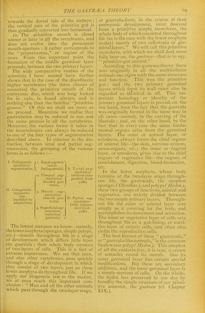 towards the dorsal side of the embryo ; the vertical axis of the primitive gut is thus g-radually converted into horizontal. lo. The primitive mouth is closed sooner or later in all the vertebrates, and does not evolve into the permanent mouth-aperture ; it rather corresponds to the  properistoma, or region of the anus. From this important point the formation of the middle germinal layer proceeds, between the two primary layers. The wide comparative studies of the scientists I have named have further shown that in the case of the discoblastic higher vertebrates (the three classes of amniotes) the primitive mouth of the embryonic disc, which was long looked for in vain, is found always, and is nothing else than the familiar primitive groove. Of this we shall see more as we proceed. Meantime we realise that gastrulation may be reduced to one and the same process in all the vertebrates. Moreover, the various forms it takes in the invertebrates can always be reduced to one of the four types of segmentation described above. . In relation to the dis- tinction between total and partial seg- mentation, the grouping of the various forms is as follows :— I. Palingenetic C i (primitive) J. segmentation. \^ Equal segmen-^ tation (bell-gastrula), II. Cenogenetic segmenta- ^' tion (modified by adaptation). Unequal seg- mentation (hooded gas- trula). Discoid . seg-\ mentation (discoid gas- trula). Superficial seg- mentation (spherical _ gastrula). A. Total seg- mentation (without inde- pendent food- yelk). ?. Partial seg- ni en tation (with indepen- dent food- yelk). The lowest metazoa we know—namely, thelowerzoophyta(sponges, simple polyps, etc.)—remain throughout life at a stage of development which differs little from the gastrula ; tiieir whole body consists of two layers of cells. This is a fact of extreme importance. We see that man, and also otiier vertebrates, pass quickly through a stage of development in which they consist of two layers, just as these lower zoophyta do throughout life. If we apply our biogenetic law to the matter, we at once reach this important con- clusion :  Man and all the other animals which pass through the two-hiycr stage, or gastrula-form, in the course of their embryonic development, must descend from a primitive simple stem-form, the whole body of vvhicii consisted throughout life (as is the case with the lower zoophyta to-day) merely of two cell-strata or ger- minal layers. We will call this primitive stem-form, with which we shall deal more fully later on, ^^astrcea—that is to say,  primitive-gut animal. According to this gastrBea-thcory there was originally in all the multicellular animals one organ with the same structure and function. This was the primitive gut ; and the two primary germinal Tayers which form its wall must also_ be regarded as identical in all. This im- portant homology or identity of the primary germinal layers is proved, on the one hand, from the fact that the gastrula was originally formed in the same w^ay in all cases—namely, by the curving of the blastula ; and, on the other hand, by the fact that in every case the same funda- mental organs arise from the germinal layers. The outer or animal layer, or ectoderm,, always forms the chief organs of animal life—the skin, nervous system, sense-organs, etc.; the inner or vegetal layer, or entoderm, gives rise to the chief organs of vegetative life—the organs of nourishment, digestion, blood-formation, etc. In the lower zoophyta, whose body remains at the two-layer stage through- out life, the gastrasads, the simplest sponges ( OJynthus ^,and polyps (Hydra J, these two groups of functions, animal and vegetative, are strictly divided between the two simple primary layers. Through- Out life the outer or animal layer acts simply as a covering for the body, and accomplishes its movement and sensation. The inner or vegetative layer of cells acts throughout life as a gut-lining, or nutri- tive layer of enteric cells, and often also yields the reproductive cells. The best known of these  gaslneads, or gastruUx-likeanimals, is ihe common fresh-water pol) pf^Hydra). This simplest of all the cnidaria,has, it is true, a crown of tentacles round its mouth. Also its outer germinal layer has certain special modifications. But these are secondary additions, and the inner germinal layer is a simple stratum of cells. On the whole, the hydra has preserved to our day by heredity the simple structure of our primi- tive ancestor, the (^astrcca (cf. Chapter XIX.).