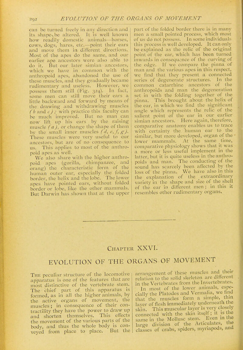 can be liirned freely in any direction and its sliape^ lie altered. It is well known how readily domestic animals—^horses, cows, dogs, hares, etc.—point tlieir ears and move them in different directions. Most of the apes do the same, and our earlier ape ancestors were also able to do it. But our later simian ancestors, which we have in common with the anthropoid apes, abandoned the use of these muscles, and they gradually became rudimentary and useless. However, we possess them still (Fig. 324). In fact, some men can still move their ears a little backward and forward by means of the drawing and withdrawing muscles fb and cj ; with practice this faculty can be much improved. But no man can now lift up his ears by the raising muscle (a), or change the shape of them by the small inner muscles (d, e, f, ^J. These muscles were very useful to qur ancestors, but are of no consequence to us. This applies to most of the anthro- poid apes as well. We also share with the higher anthro- poid, apes (gorilla, chimpanzee, and orang) the characteristic form of the human outer ear, especially the folded border, the helix and the lobe. The lower apes have pointed ears, without folded border or lobe, like the other mammals. But Darwin has shown that at the upper part of the folded border there is in many men a small pointed process, which most of us do not possess. 1 n some indi\ iduah; this process is well developed. It can only be explained as the relic of the original point of the ear, which has been turned inwards in consequence of tlie curving of the edge, if we compare the pinna of man and the various apes in this respect, we find that they present a connected series of degenerate structures. In the common catarrhine ancestors of the anthropoids and man the degeneration set in with the folding together of the pinna. This brought about the helix of the ear, in which we find the significant angle which represents the relic of the salient point of the ear in our earlier simian ancestors. Here again, therefore, comparative anatomy enables us to trace with certainty the human ear to the similar, but more developed, organ of the* lower mammals. At the same time, comparative physiology shows that it was a more or less useful implement in the latter, but it is quite useless in the anthro- poids and man. The conducting of the sound has scarcely been affected by the loss of the pinna. We have also in this the explanation of the extraordinary variety in the shape and size of the shell of the ear in different men ; in this it resembles other rudimentary organs. Chapter XXVI. EVOLUTION OF THE ORGANS OF MOVEMENT The peculiar structure of the locomotive apparatus is one of the features that are most distinctive of the vertebrate stem. The chief part of this apparatus is formed, as in all the higher animals, by the active organs of movement, the muscles; in consequence of their con- tractility they have the power to draw up and shorten themselves. This effects the movement of the various parts of the body, and thus the whole body is con- veyed from place to place, But the arrangement of these muscles and their relation to the solid skeleton are diflerent in the Vertebrates from the Invertebrates. In most of the lower animals, espe- cially the Platodcs and Vcrmalia, we hnd that the muscles form a simple, thm layer of flesh immediately underneath the skin. This muscular layer is very closely connected with the skin itself; it is the same in the Mollusc stem. Even in the large division of tlie Articulates, the classes of crabs, spidere, mynapods, and