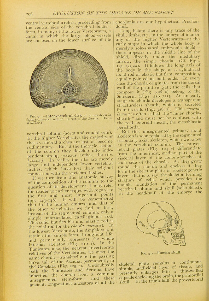 ■296 ventral vertebral arches, proceeding- from the ventral side of the vertebral bodies, form, in many of the lower Vertebrates, a canal in which the large blood-vessels are enclosed on the lower surface of the Fig. 331.—Intervertebral disk of a new-born m- fant, transverse section, n rest of the chorda. (I'rom Koltiker.) vertebral column (aorta and caudal vein). In the higher Vertebrates the majority of these vertebral arches are lost or become rudimentary. But at the thoracic section of the column they develop into inde- pendent strong- osseous arches, the ribs (costcBj. In reality the ribs are merely large and independent lower vertebral arches, which have lost their original connection with the vertebral bodies. If we turn from this anatomic survey of the composition of the column to the question of its development, I may refer the reader to earlier pages with regard to the first and most important pomts (pp. 145-148). It will be remembered that in the human embryo and that of the other vertebrates we find at first, instead of the segmented column, only a simple unarticulated cartilaginous rod. This solid but flexible and elastic rod is the axial rod (or the chorda dorsahs). In the lowest Vertebrate, the Amphioxus, it retains this simple form throughout life, and permanently represents the whole internal skeleton (Fig. 210 i). In the Tunijcates, also, the nearest Invertebrate relatives of the Vertebrates, we meet the same chorda—transitorily in the passing larva tail of the Ascidia, permanently in the Copelata (Fig. 225 c). Undoubtedly both the Tunicates and Acrania have inherited the chorda from a common unsegmented stem-form ; and these ancient, long-extinct ancestors of all the chordonia are our hypothetical Prochor- donia. Long before there is any trace of the skull, limbs, etc., in the embryo of man or any of the higher Vertebrates—at the early stage in which the whole body is merely a sole-shaped embryonic shield— there appears in the middle line of the shield, directly under the medullary furrow, the simple chorda. (Cf. Figs. 131-135 ch). It follows the long axis of the body in the shape of a cylindrical axial rod of elastic but firm composition, equally pointed at both ends. In every case the chorda originates from the dorsal wall of the primitive gut; the cells that compose it (Fig. 328 b) belong to the d^-itoderni (Figs. 216-221). At an early stage the chorda developes a transparent structureless sheath, which is secreted from its cells (Fig. 328 a). This chorda- lemma is often called the  inner chorda- sheath, and must not be confused with the real external sheath, the mesoblastic perichorda. But this unsegmented primary axial skeleton is soon replaced by the segmented secondary axial skeleton, which we know as the vertebral column. The prever- tebral plates (Fig. 124 s) differentiate from the innern-iost, median part of the visceral layer of the coelom-pouches at each side of the chorda. As they grow round the chorda and enclose it they form the skeleton plate or skeletogenetic layer—that is to say, the skeleton-forming stratum of cells, which provides the mobile foundation of the permanent vertebral column and skull (scleroblast). In the head-half of the embryo the Fig. 332.—Human skull. skeletal plate remains a continuous, simple, undivided layer of tissue, and presently enlarges into a th.n-walled capsule enclosing the bram the pnmoi d a skull. In the trunk-halt the provertebial