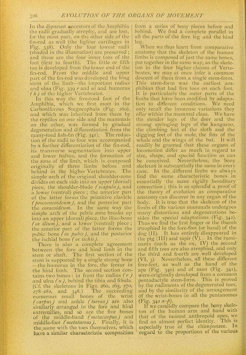 In the dipneust ancestors of the Amphibia j tlie radii jjradually atrophy, and are lost, for tiic most part, on tlie other side of the fin-rod as well (the lighter cartilages in Fig. 338). Only the four lowest radii (shaded in the illustration) are preserved ; and these are the four inner toes of the foot (first to fourth). The little or fiflh toe is developed from the lower end of the fin-rod. From the middle and upper part of the fin-rod was developed ihe long stem of the limb—the important radius and ulna (Fig. 339 r and tt) and humerus (h) of the higher Vertebrates. In this way the five-toed foot of the Amphibia, which we first meet in the Carboniferous Stegocephala (Fig. 260), and which was inherited from them by the reptiles on one side and the mammals on the other, was formed by gradual degeneration and differentiation from the many-toed fish-fin (Fig. 341). The reduc- tion of the radii to four was accompanied by a further differentiation of the fin-rod, its transverse segmentation into upper and lower halves, and the formation of the zone of the limb, which is composed originally of three limbs before and behind in the higher Vertebrates. The simple arch of the original shoulder-zone divides on each side into an uppei' (dorsal) piece, the shoulder-blade fscapula), and a lower (ventral) piece ; the anterior part of the latter forms the primitive clavicle fprocomcoideumj, and the posterior part the coracoideum. In the same way the simple arch of the pelvic zone breaks up into an upper (dorsal) piece, the iliac-bone (OS ilium), and a lower (ventral) piece ; the anterior part of the latter forms the pubic bone (os pubis J, and the posterior the ischial bone fos ischii). ^ There is also a complete agreement between the fore and hind limb in tlie stem or shaft. The first section of the stem is supported by a single strong bone —the humerus in the fore, the femur in the hind limb. The second section con- tains two bones : in front the radius (r) and uhia (u), behind the tibia and fibula. (Cf the skeletons in Figs. 260, 265, 270, 278-282, and 348.) The succeeding numerous small bones of the wrist (carpus J and ankle f tarsusJ are also similarly arranged in the fore and hind extremities, and so are the five bones of the middle-hand (metacarpus) and middle-foot (metatarsus). Finally, it is the.same with the toes themselves, which have a similar characteristic composition from a series of bony pieces before and behind. We find a complete parallel in all the parts of the fore leg and the hind When we thus learn from comparative anatomy that the skeleton of the human limbs is composed of just the same bones, put together in the same way, as the skele- ton in the four higher classes of Verte- brates, we may at once infer a common descent of them from a single stem-form. This stem-form was the earliest am- phibian that had five toes on each foot. It is particularly the outer parts of the limbs that have been modified by adapta- tion to different conditions. We need only recall the immense variations they offer within the mammal class. We have the slender legs of the deer and the strong springing legs of the kangaroo, the climbing feet of the sloth and the digging feet of the mole, the fins of the whale and the wings of the bat. It will readily be granted that these organs of locomotion differ as much in regard to size, shape, and special function as can be conceived. Nevertheless, the bony skeleton is substantially the same in everj' case. In the. different limbs we alwa3's find the same characteristic bones in essentially the same rigidly hereditary connection ; this is as splendid a proof of the theory of evolution as comparative anatomy can discover in any organ of the body. It is true that the skeleton of the limbs of the various mammals undergoes many distortions and degenerations be- sides the special adaptations (Fig. 342). Thus we find the first finger or the thumb atrophied in the fore-foot (or hand) of the dog (II). It has entirely disappeared in the pig (III) and tapir (V). In the rumi- nants' (such as the ox, IV) the second and fifth toes are also atrophied, and only the third and fourth are well developed (VI, 3). Nevertheless, all these different fore-feet, as well as the hand of the ape (Fig. 340) and of man (Fig. 341), were originally developed from a common pentadactyle stem-form. This is proved by the rudiments of the degenerated toes, and by the similarity of the arrangement of the wrist-bones in all the pentanomes (Fig. 342 a-p). If we candidly compare the bony skele- ton of the human arm and hand with that of the nearest anthropoid apes, we find an almost perfect identity. This is especially true of the chimpanzee. _ In regard to the proportions of the various