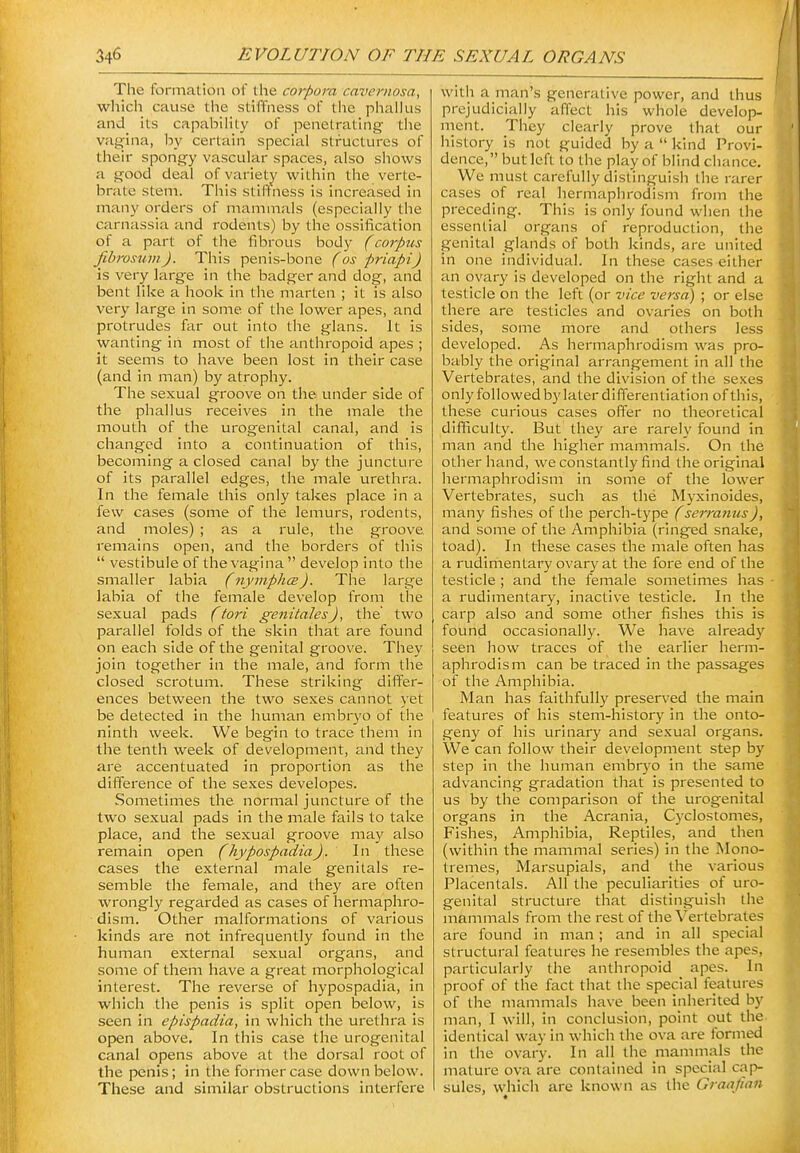The formation of the corpora cavernosa, which cause the stiffness of the phalhis and its capability of penetrating tlie vagina, by certain special structures of their spongy vascular spaces, also shows a good deal of variety within the verte- brate stem. This stiffness is increased in many orders of mammals (especially the carnassia and rodents) by the ossification of a part of the fibrous body (corpus fibrosuinj. This penis-bone (os priapi) is very large in the badger and dog, and bent like a hook in the marten ; it is also very large in some of the lower apes, and protrudes far out into the glans. It is wanting in most of the anthropoid apes ; it seems to have been lost in their case (and in man) by atrophy. The sexual groove on the under side of the phallus receives in the male the mouth of the urog-enital canal, and is changed into a continuation of this, becoming a closed canal by the juncture of its parallel edges, the male urethra. In the female this only takes place in a few cases (some of the lemurs, rodents, and moles) ; as a rule, the groove remains open, and the borders of this  vestibule of the vagina  develop into the smaller labia (nymphce). The large labia of the female develop from the sexual pads (tori genitalesJ, the two parallel folds of the skin that are found on each side of the genital groove. They join together in the male, and form the closed scrotum. These striking differ- ences between the two sexes cannot yet be detected in the human embryo of the ninth week. We begin to trace them in the tenth week of development, and they are accentuated in proportion as the difference of the sexes developes. Sometimes the normal juncture of the two sexual pads in the male fails to take place, and the sexual groove may also remain open (hypospadia). In these cases the external male genitals re- semble the female, and they are often wrongly regarded as cases of hermaphro- dism. Other malformations of various kinds are not infrequently found in the human external sexual organs, and some of them have a great morphological interest. The reverse of hypospadia, in which the penis is split open below, is seen in epispadia, in which the urethra is open above. In this case the urogenital canal opens above at the dorsal root of the penis; in the former case down below. These and similar obstructions interfere with a man's generative power, and thus prejudicially affect his whole develop- ment. They clearly prove that our history is not guided by a  kind Provi- dence, butleft to the play of blind chance. We must carefully distinguish the rarer cases of real hermaphrodism from the preceding. This is only found when the essential organs of reproduction, the genital glands of both kinds, are united in one individual. In these cases either an ovary is developed on the right and a testicle on the left (or vice versa) ; or else there are testicles and ovaries on both sides, some more and others less developed. As hermaphrodism was pro- bably the original arrangement in all the Vertebrates, and the division of the sexes only followed by later diffei'entiation of this, these curious cases offer no theoretical difficulty. But they are rarely found in man and the higher mammals. On the other hand, we constantly find the original hermaphrodism in some of the lower Vertebrates, such as the Myxinoides, many fishes of the perch-type (serranus), and some of the Amphibia (ringed snake, toad). In these cases the male often has a rudimentary ovary at the fore end of the testicle; and the female sometimes has a rudimentary, inactive testicle. In the carp also and some other fishes this is found occasionally. We have already seen how traces of the earlier herm- aphrodism can be traced in the passages of the Amphibia. Man has faithfully preserved the main features of his stem-history in the onto- geny of his urinai-y and sexual organs. We can follow their development step by step in the human embryo in the same advancing gradation that is presented to us by the comparison of the urogenital organs in the Acrania, Cyclostomes, Fishes, Amphibia, Reptiles, and then (within the mammal series) in the Mono- trenies. Marsupials, and the various Placentals. All the peculiarities of uro- genital structure that distinguish the mammals from the rest of the Vertebrates are found in man; and in all special structural features he resembles the apes, particularly the anthropoid apes. In proof of the fact that the special features of the mammals have been inherited by man, I will, in conclusion, point out the identical way in which the ova are formed in the ovary. In all the mammals the mature ova are contained in special cap- sules, which are known as the Graafian