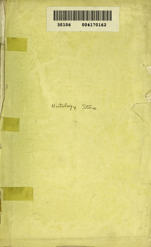 digitised image 3