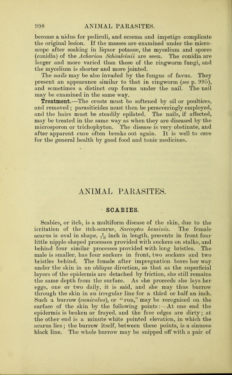 become a nidus for pecliculi, and eczema and impetigo complicate the original lesion. If the masses are examined under the micro- scope after soaking in liquor potass?e, the mycelium and spores (conidia) of the Achorion Schonhinii are seen. The conidia are larger and more varied than those of the ringworm fungi^ and the mycelium is shorter and more jointed. The nails may be also invaded by the fungus of favus. They present an appearance similar to that in ringworm [see p. 995), and sometimes a distinct cup forms under the nail. The nail may be examined in the same way. Treatment.—The crusts must be softened by oil or poultices, and removed ; parasiticides must then be perseveringly employed, and the hairs must be steadily epilated. The nails, if afi'ected, may be treated in the same way as when they are diseased by the microsporon or trichophyton. The disease is very obstinate, and after apparent cure often breaks out again. It is well to care for the general health by good food and tonic medicines. ANIMAL PARASITES. SCABIES. Scabies, or itch, is a multiform disease of the skin, due to the irritation of the itch-acarus, Sarcoptes hominis. The female acarus is oval in shape, y^- inch in length, presents in front four little nipple-shaped processes provided with suckers on stalks, and behind four similar processes provided with long bristles. The male is smaller, has four suckers in front, two suckers and two bristles behind. The female after impregnation bores her way imder the skin in an oblique direction, so that as the superficial layers of the epidermis are detached by friction, she still remains the same depth from the surface. As she proceeds she lays her eggs, one or two daily, it is said, and she may thus burrow through the skin in an irregular line for a third or half an inch. Such a burrow {cunicidus), or run, may be recognised on the surface of the skin by the following points:—At one end the epidermis is broken or frayed, and the free edges are dirty; at the other end is a minute white pointed elevation, in which the acarus lies; the burrow itself, between these points, is a sinuous black line. The whole burrow may be snipped off wdth a pair of