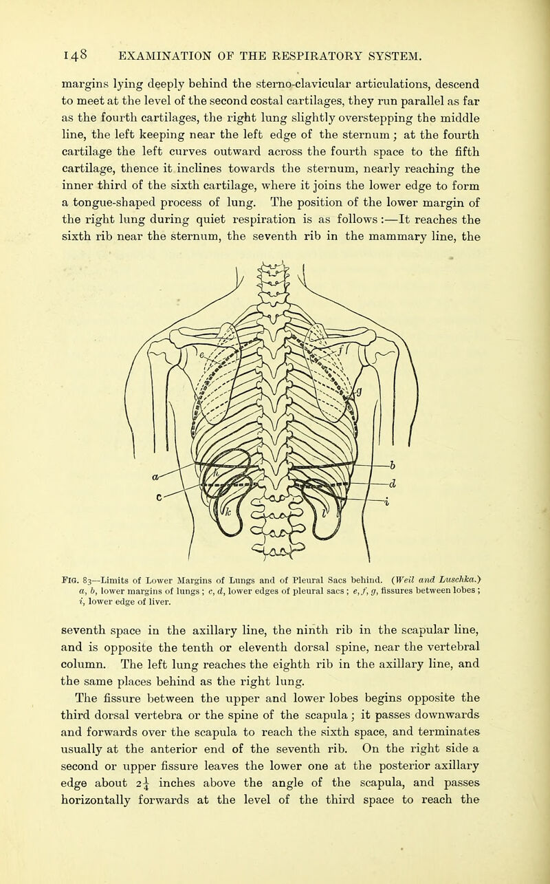 margins lying deeply behind the sterno-clavicular articulations, descend to meet at the level of the second costal cartilages, they run parallel as far as the fourth cartilages, the light lung slightly overstepping the middle line, the left keeping near the left edge of the sternum; at the fourth cartilage the left curves outward across the fourth space to the fifth cartilage, thence it inclines towards the sternum, nearly reaching the inner third of the sixth cartilage, where it joins the lower edge to form a tongue-shaped process of lung. The position of the lower margin of the right lung during quiet respiration is as follows :—It reaches the sixth rib near the sternum, the seventh rib in the mammary line, the Fig. 83—Limits of Lower Margins of Lungs and of Pleural Sacs behind. (Weil and Luschka.) a, b, lower margins of lungs ; c, d, lower edges of pleural sacs ; e,f, g, Assures between lobes ; i, lower edge of liver. seventh space in the axillary line, the ninth rib in the scapular line, and is opposite the tenth or eleventh dorsal spine, near the vertebral column. The left lung reaches the eighth rib in the axillary line, and the same places behind as the right lung. The fissure between the upper and lower lobes begins opposite the third dorsal vertebra or the spine of the scapula; it passes downwards and forwards over the scapula to reach the sixth space, and terminates usually at the anterior end of the seventh rib. On the right side a second or upper fissure leaves the lower one at the posterior axillary edge about 2^ inches above the angle of the scapula, and passes horizontally forwards at the level of the third space to reach the