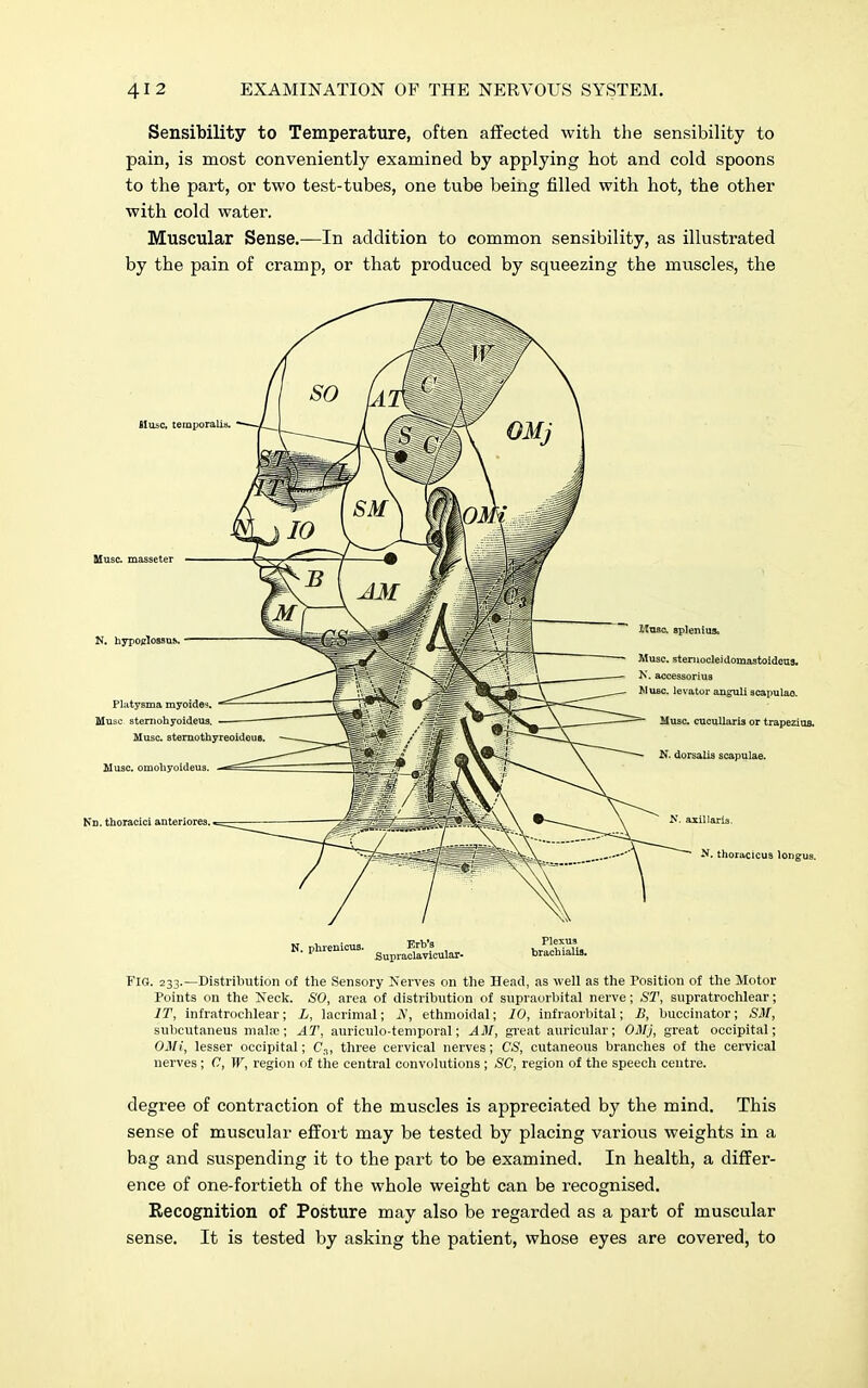 Sensibility to Temperature, often affected with the sensibility to pain, is most conveniently examined by applying hot and cold spoons to the part, or two test-tubes, one tube being filled with hot, the other with cold water. Muscular Sense.—In addition to common sensibility, as illustrated by the pain of cramp, or that produced by squeezing the muscles, the Muse. N. Muse i N.phvenicus. Supr™£ular. taSlSL FIG. 233.—Distribution of the Sensory Nerves on the Head, as well as the Position of the Motor Points on the Neck. SO, area of distribution of supraorbital nerve; Sl\ supratrochlear; IT, infratrochlear; L, lacrimal; N, ethmoidal; 10, infraorbital; B, buccinator; SM, subcutaneus malse; AT, auriculotemporal; AM, great auricular; OMj, great occipital; OMi, lesser occipital; C3, three cervical nerves; CS, cutaneous branches of the cervical nerves ; C, W, region of the central convolutions ; SC, region of the speech ceutre. degree of contraction of the muscles is appreciated by the mind. This sense of muscular effort may be tested by placing various weights in a bag and suspending it to the part to be examined. In health, a differ- ence of one-fortieth of the whole weight can be recognised. Recognition of Posture may also be regarded as a part of muscular sense. It is tested by asking the patient, whose eyes are covered, to