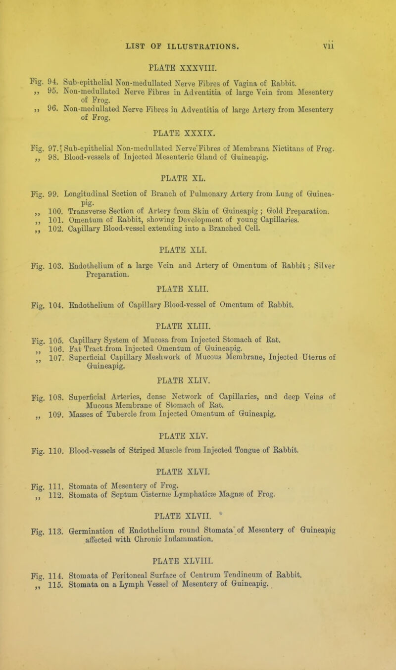 PLATE XXXVIIL Fig. 94. Sub-epithelial Non-meclullated Nerve Fibres of Vagina of Kabbit. ,, 95. Non-medullated Nerve Fibres in Adventitia of large Vein from Mesentery of Frog. 96. Non-nieduUated Nerve Fibres in Adventitia of large Artery from Mesentery of Frog. PLATE XXXIX. Fig, 97-1 Sub-epithelial Non-medullated Nerve'Fibres of Membrana Nictitans of Frog. 98. Blood-vessels of Injected Mesenteric Gland of Guineapig. PLATE XL. Fig. 99. Longitudinal Section of Branch of Pulmonary Arteiy from Lung of Guinea- Pig- 100. Transverse Section of Artery from Skin of Guineapig ; Gold Preparation. 101. Omentum of Rabbit, showing Development of young Capillaries. 102. Capillary Blood-vessel extending into a Branched Cell. PLATE XLI. Fig. 103. Endothelium of a large Vein and Artery of Omentum of Rabbit ; Silver Preparation. PLATE XLII. Fig. 104. Endothelium of Capillary Blood-vessel of Omentum of Rabbit. PLATE XLIII. Fig. 105. Capillary System of Mucosa from Injected Stomach of Rat. , 106. Fat Tract from Injected Omentum of Guineapig. ,, 107. Superficial Capillary Meshwork of Mucous Membrane, Injected Uterus of Guineapig. PLATE XLIV. Fig. 108. Superficial Arteries, dense Network of Capillaries, and deep Veins of Mucous Membrane of Stomach of Rat. „ 109. Masses of Tubercle from Injected Omentum of Guineapig. PLATE XLV. Fig. 110. Blood-vessels of Striped Muscle from Injected Tongue of Rabbit. PLATE XLVI. Fig. 111. Stomata of Mesentery of Frog. 112. Stomata of Septum Cisternse Lymphaticse Magnse of Frog. PLATE XLVII. • Fig. 113. Germination of Endothelium round Stomata'of Mesentery of Guineapig affected with Chronic Inflammation. PLATE XLVIII. Fig. 114. Stomata of Peritoneal Surface of Centrum Tendineum of Rabbit.