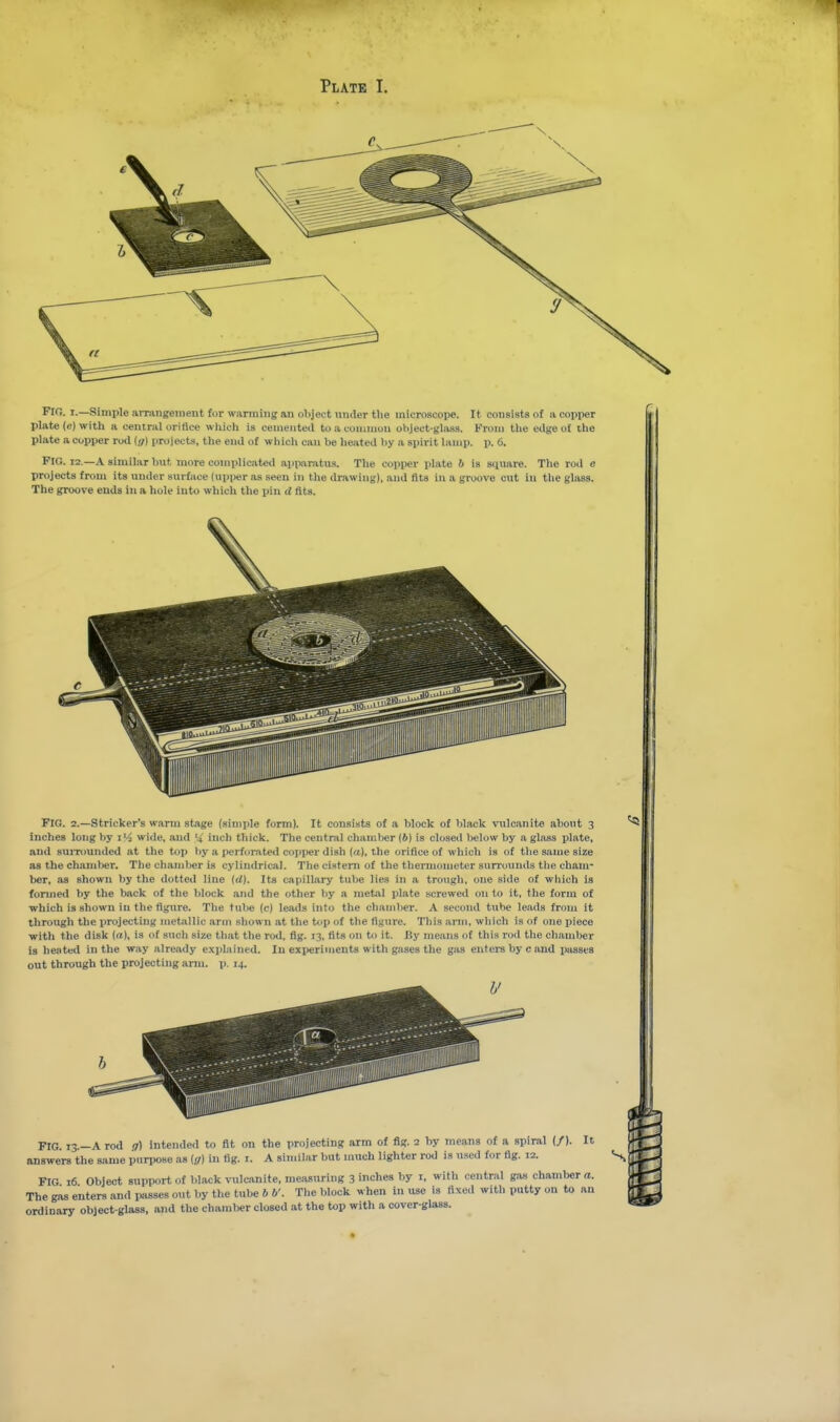 I^- I.—Simple iimiiigement fur wanning an oliject under the microscope. It consists of a copper plate (c) with a central orifice which is cemented to a common oliject-glasa. From the edged the plate a copper rod (;/) projects, the end of which can be heated hy a spirit lamp. p. 6. Fig. 12.—a similar but more complicated apparatus. The copper plate b is square. The rod e projects from its under surface (upjier as seen in the drawing), and fits in a groove cut in the glass. The groove ends in a hole into which the pin d tits. Fig. 2.—Strieker's warm stage (simple form). It consists of a block of black vulcanite about 3 inches long by I'-i wide, and '4 inch thick. The central chamber (6) is closed below by a glass plate, and suiTounded at the top by a perforated cojiiier dish (a), the orifice of which is of the sfime size as the chanit>er. The chanitjer is cylindrical. The cistern of the tliennomcter sunuunds tlie cham- ber, as shown by the dotted line {d). Its capillary tube lies in a trough, one siiie of which is formed by the back of the block and the other by a metJil plate screwed on to it, the form of which is shown in the figure. The tube (c) leads into the chamber. A second tube leads from it through the projecting metallic ,-iriii sliown a,t the top of the fij^ure. This arm, which is of one piece with the disk (d), is cjf sucli size tliat the rod, fig. 13, fits on to it. By means of this rod the chamber is heated in the way already explained. In experiments with gases the gas enters bye and passes out through the projecting arm. p. 14. FIG. 13.—A rod a) intended to fit on the projecting arm of fig. 2 by means of a spiral (/). It answers the same purpose as iff) in fig. i. A similar but much lighter rod is used for fig. 12. FIG 16 Object support of black vnilcanite, measuring 3 inches by i, with central g.is chamter a. The gas enters and passes o.,t by the tube b b'. The block when in use is fixed with putty on to an ordinary object-glass, and the chamber closed at the top with a cover-glass.