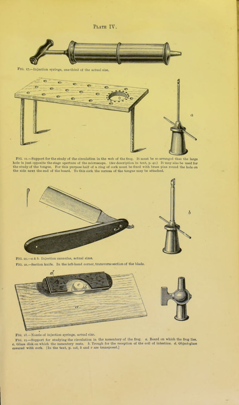 Fig. 17.—Injection syringe, one-third of tlie uetual size. FIO. II.—Support for the study o( the circulation in the web of the frog. It must be so arrangcil that, the large hole is just opposite the stage aperture of the microscope. (.See description in text, p. 42.) It may .also be used for the study of the tongue. For this purpose half of a ring of cork must be llxed with brass pins round the hole on the side next the end of the boiird. To this cork the comua of the tongue may be attached. Fig. 20.—rt & 6. Injection cannulas, nctual sizes. FIO. 21.—Section knife. In the left-hand comer, transverse section of the blade. FIO. 18.—Nozzle of injection syringe, actual size. FIO. 19 —Support for studying the circulation in the mesentery of the frog. a. Board on which the frog lies, c. Glass disk on which the mesentery rests, b. Trough for the reception of the coil of intestine, d. Object-glass