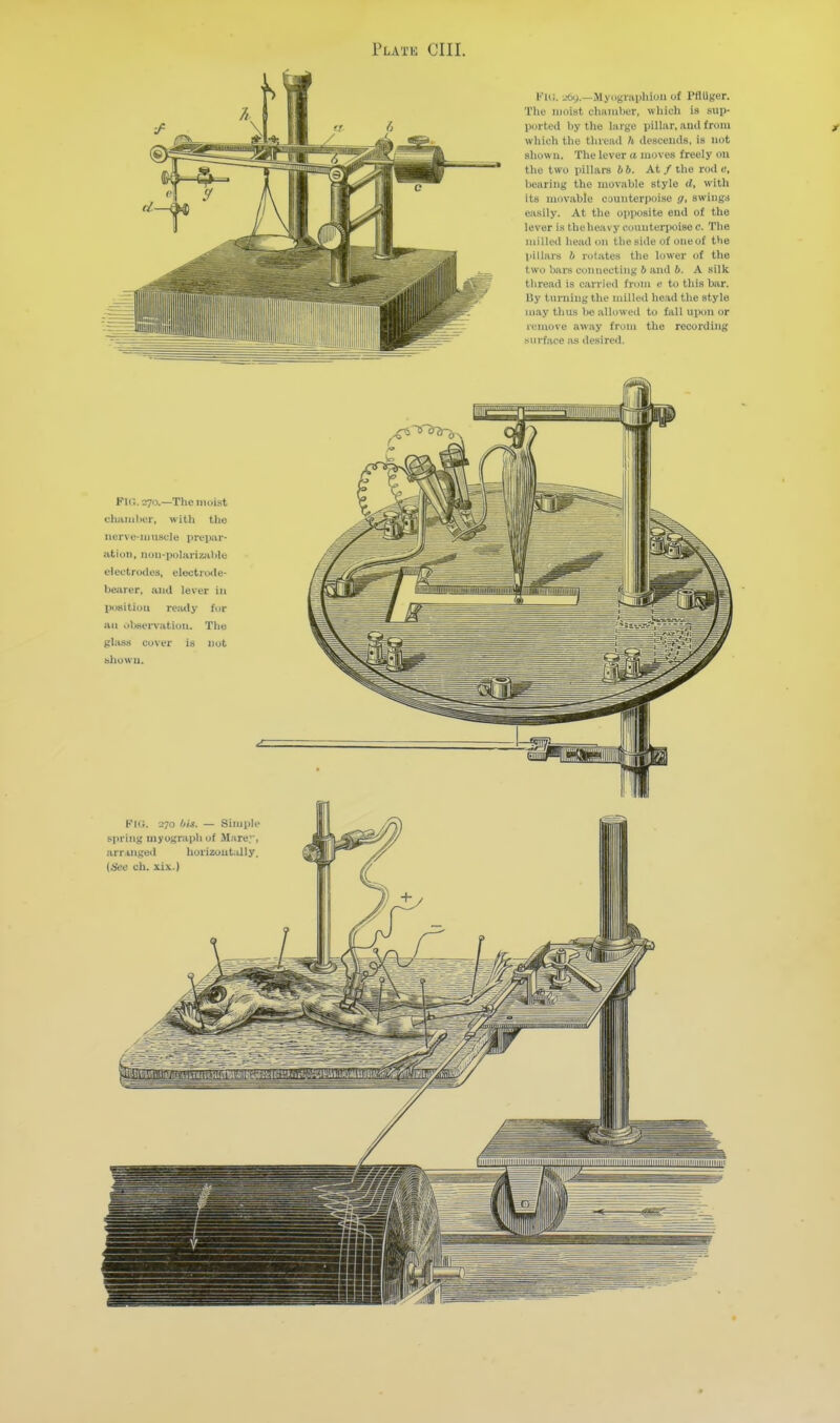 Flii. -'6y.—Mycigraphioii of PflUf,'er. The luoist chmulier, wliicli is sup- pcirted liy the large pillar, ami from which the thread h desceiuls. is not shown. The lever a moves freely on the two pillars bb. At / the rod e, bearing the movable stylo il, with its movable euuiiteriinise g, awingj easily. At the opposite end of the lever is the heavy counterpoise c. The milled head on the side of one of the pillars b rotates the lower of the two bars connecting 6 and b. A silk thread is carried from c to this bar. By turning the milled head the style may thus be allowed to fall upon or remove away from the recording surface as desired. Fu;. 070.—The moist chamber, with the nerve-muscle prep;ir- ation, non-polarizable electrodes, electrode- bejvrer. and lever in IHjsitiou remly for an oljsenation. The glass co^er is not shown.