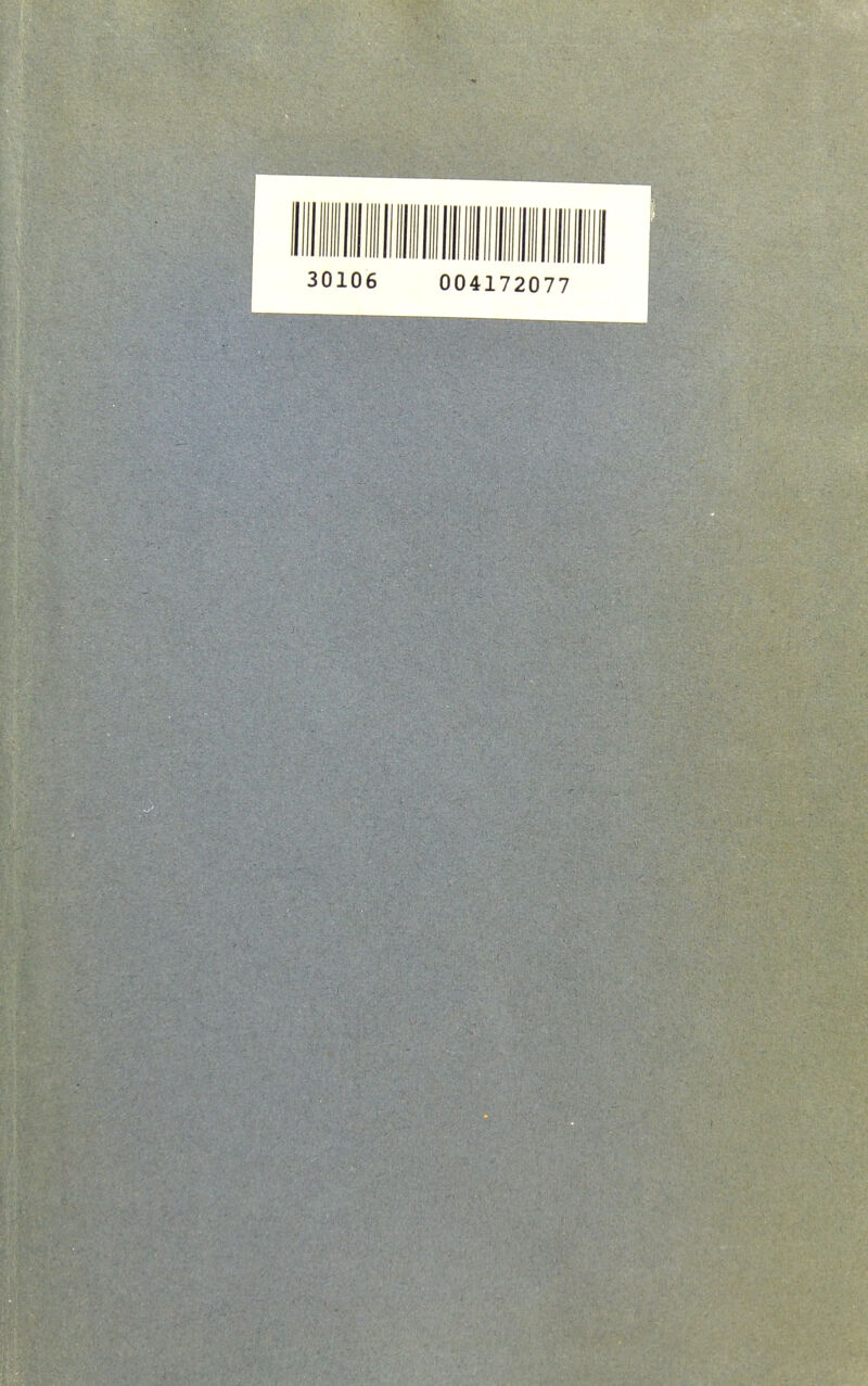 30106 004172077