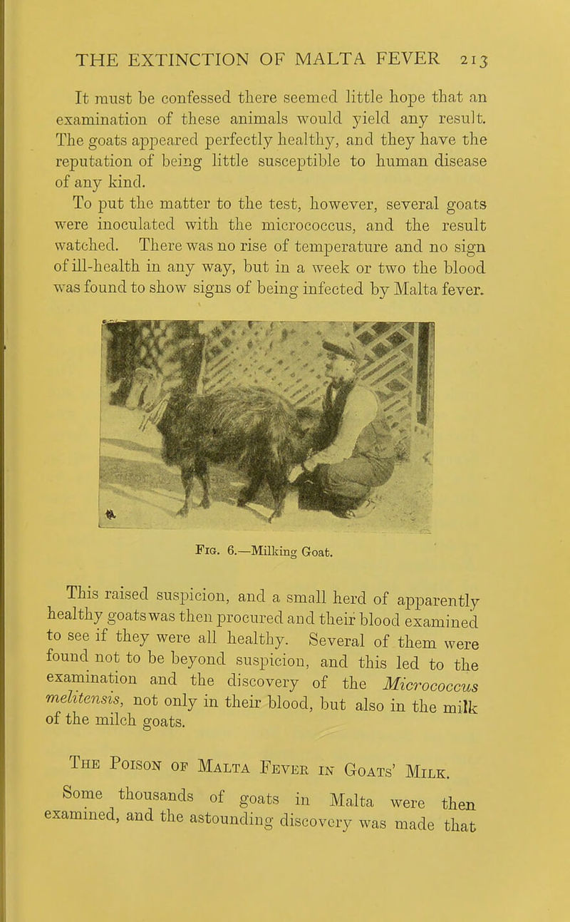 It must be confessed there seemed little hope that an examination of these animals would, yield any result. The goats appeared perfectly healthy, and they have the reputation of being little susceptible to human disease of any kind. To put the matter to the test, however, several goats were inoculated with the micrococcus, and the result watched. There was no rise of temperature and no sign of ill-health in any way, but in a week or two the blood was found to show signs of being infected by Malta fever. Fig. 6.—Milking Goafc. This raised suspicion, and a small herd of apparently healthy goats was then procured and their blood examined to see if they were all healthy. Several of them were found not to be beyond suspicion, and this led to the examination and the discovery of the Micrococcus melitensis, not only in their blood, but also in the milk of the milch goats. The Poison of Malta Fever in Goats' Milk. Some thousands of goats in Malta were then exammed, and the astounding discovery was made that