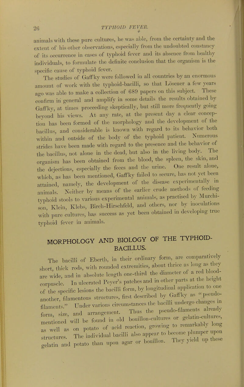 animals with these pure cultures, he was able, from the certainty and the extent of his other observations, especially from the undoubted constancy of its occurrence in cases of typhoid fever and its absence from healthy individuals, to formulate the definite conclusion that the organism is the specific cause of typhoid fever. The studies of Gaff ky were followed iu all countries by an enormous amount of work with the typhoid-bacilli, so that Losener a few years ago was able to make a collection of 689 papers on this subject. These confirm in general and amplify in some details the results obtained by Gaffky, at times proceeding skeptically, but still more frequently going beyond his views. At any rate, at the present day a clear concep- tion has been formed of the morphology and the development of the bacillus, and considerable is known with regard to its behavior both within and outside of the body of the typhoid patient. Numerous strides have been made with regard to the presence and the behavior of the bacillus, not alone iu the dead, but also in the living body. The organism has been obtained from the blood, the spleen, the skin, and the dejections, especially the feces and the urine. One result alone, which, as has been mentioned, Gaflfky failed to secure, has not yet been attained, namelv, the development of the disease experimentally m animals Neither bv means of the earlier crude methods of feedmg tvphoid stools to various experimental animals, as practised by Murchi- son Klein Klebs, Birch-Hirschfeld, and others, nor by inoculations with pure cultures, ha.s success as yet been obtained in developing true typhoid fever iu animals. MORPHOLOGY AND BIOLOGY OF THE TYPHOID- BACILLUS. The bacilli of Eberth, in their ordinary form, are comparatively short, thick rods, with rounded extremities, about thrice as long as they are wide, and in absolute length one-third the diameter of a red blood- corpuscle. In ulcerated Peyer's patches and in other parts at the height of the specific lesions the bacilli form, by longitudinal apphcat.on to one another, filamentous structures, first described by Gaffky as ^pseudo- fi^anien s. Under various circumstances the bacilli undergo changes m form i.e and arrangement. Thus the pseudo-filaments a ready mendo 'wll be found in old bouillon-cultures or gelatm-cultures, TsCI s on potato of acid reaction, growing to remarkably long ^:tes. The\ndivid.ial bacilli also appear to b^onie pamper u^ gelatin and potato than upon agar or boudlon. Thov )ield up