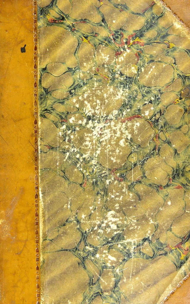 No text description is available for this image