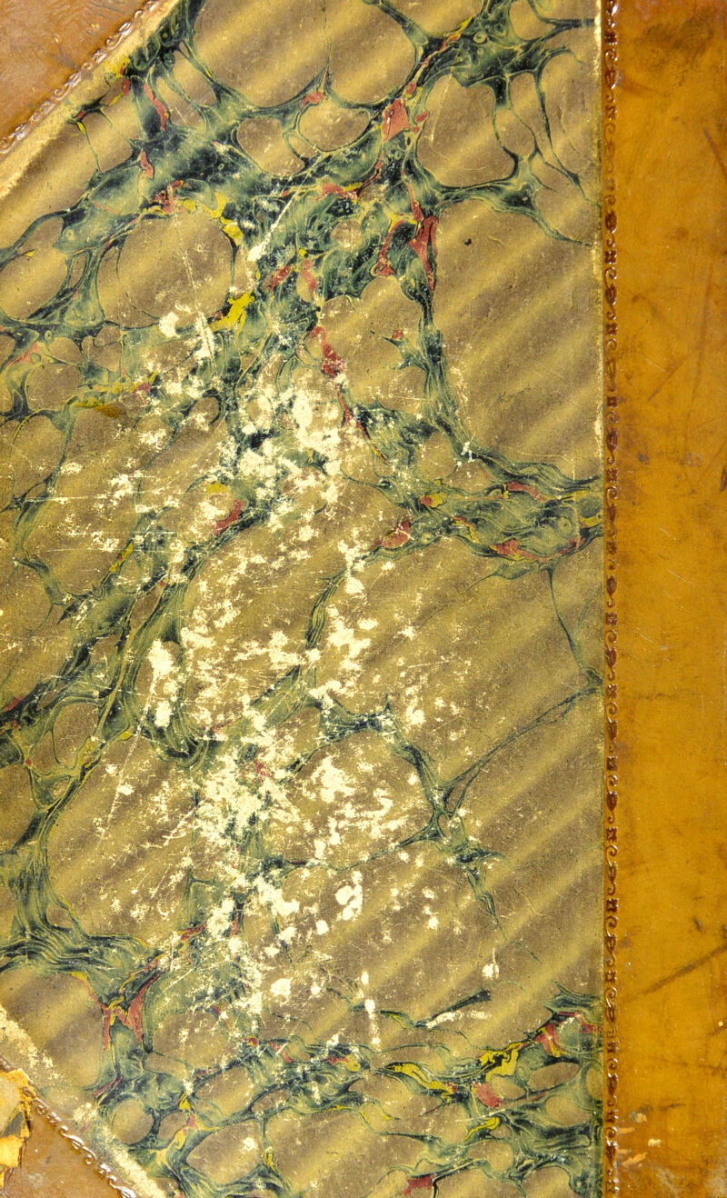 No text description is available for this image