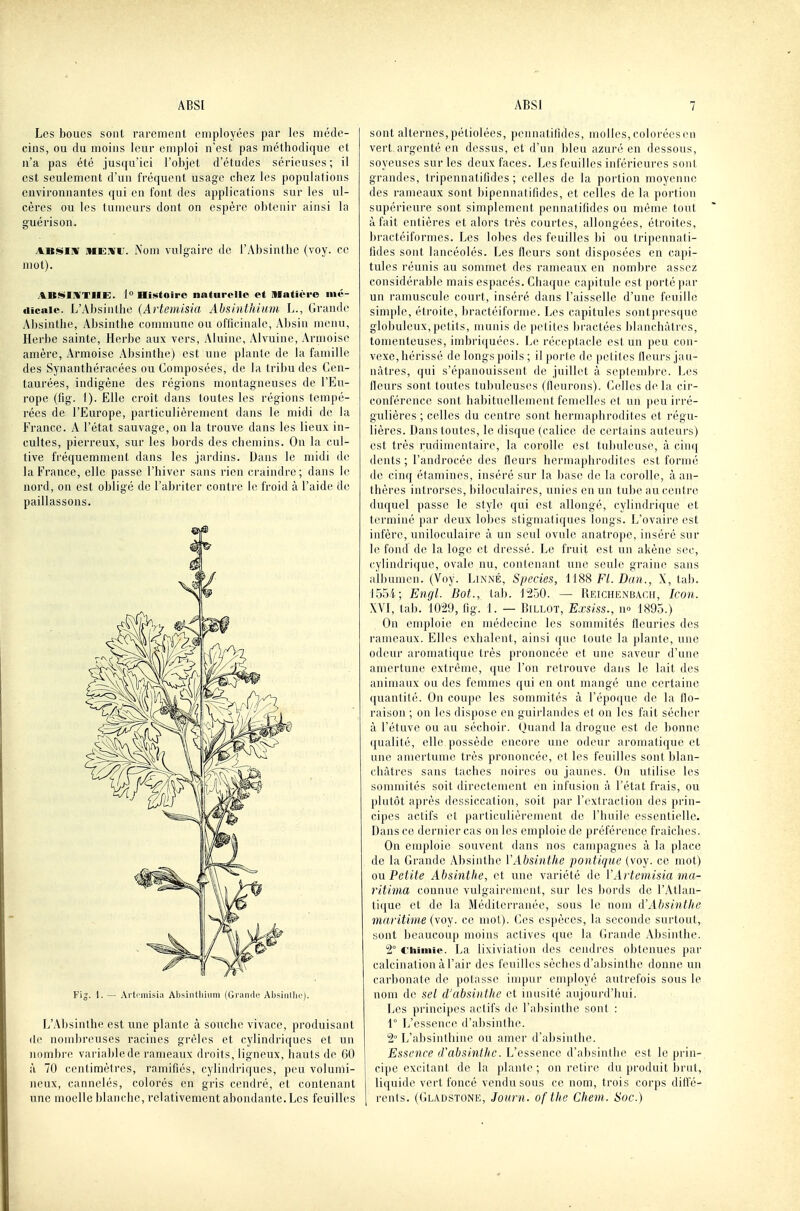 Les boues sont rarement employées par les méde- cins, ou du moins leur emploi n'est pas méthodique et n'a pas été jusqu'ici l'objet d'études sérieuses ; il est seulement d'un fréquent usage chez les populations environnantes qui en font des applications sur les ul- cères ou les tumeurs dont on espère obtenir ainsi la guérison. ABNinr MEH'ii. Nom vulgaire de l'Absinthe (voy. ce mot). ABiiilKTIIE. l Hi!«toirc naturelle et niatièro nié- dicnie. L'Absinthe {Artcnùsia Absinthium L., Grande Absinthe, Absinthe commune ou officinale, Absin menu. Herbe sainte, Herbe aux vers, Aluine, Alvuine, Armoise amère. Armoise Absinthe) est une plante de la famille des Synanthéracées ou Composées, de la tribu des Cen- taurées, indigène des régions montagneuses de l'Eti- rope (fig. 1). Elle croît dans toutes les régions tempé- rées de l'Europe, particulièrenjcnt dans le midi de la France. A l'état sauvage, on la trouve dans les lieux in- cultes, pierreux, sur les bords des chemins. On la cul- tive fréquemment dans les jardins. Dans le midi de la France, elle passe l'hiver sans rien craindre; dans le nord, on est obligé de l'abriter contre h; froid à l'aide de paillassons. Fij. 1. — Ai'tfiiiisiii Absinlhiiiiii (Grundo Ahsinllic). L'Absinthe est une plante à souche vivacc, produisant de nombreuses racines grêles et cylindriques et un }iombre variable de rameaux droits, ligneux, hauts de 60 à 70 centimètres, ramifiés, cylindriques, peu volumi- neux, cannelés, colorés en gris cendré, et contenant une moelle blanche, relativement abondante. Los feuilles sont alternes, pétiolées, pennatifîdes, molles, colorées en vert argenté en dessus, et d'un bleu azuré en dessous, soyeuses sur les deux faces. Les feuilles inférieures sont grandes, tripennatifides ; celles de la portion moyenne des rameaux sont bipennatifides, et celles de la portion supérieure sont simplement pennatifîdes ou même tout à fait entières et alors très courtes, allongées, étroites, bractéiformes. Les lobes des feuilles bi ou tripennati- fides sont lancéolés. Les fleurs sont disposées en capi- tules réunis au sommet des rameaux en nombre assez considérable mais espacés. Chaque capitule est porté par un ramuscule court, inséré dans l'aisselle d'une feuille simple, étroite, bractéiforme. Les capitules sontpresque globuleux, petits, munis de petites bractées blanchâtres, tomentcuses, imbriquées. Le réceptacle est un peu con- vexe, hérissé de longs poils ; il porte de petites tleurs jau- nâtres, qui s'épanouissent de juillet à septembre. Les lleurs sont toutes tubuleuses (fleurons). Celles delà cir- conférence sont habituellement femelles et un peu irré- gulières ; celles du centre sont hermaphrodites et régu- lières. Dans toutes, le disque (calice de certains auteurs) est très rudimentaire, la corolle est tubuleuse, à cinq dents ; l'androcée des fleurs hermaphrodites est formé de cinq étamines, inséré sur la base de la corolle, à an- thères introrses, biloculaires, unies eu un tube au centre duquel passe le style qui est allongé, cylindrique et terminé par deux lobes stigmatiques longs. L'ovaire est infère, uniloculaire à un seul ovule anatrope, inséré sur le fond de la loge et dressé. Le fruit est un akène sec, cylindrique, ovale nu, contenant une seule graine sans albumen. (Voy. Linné, Species, Fl. Dan., X, tab. 1554; Engl. Bot., tab. i'iôO. — Reichenbacii, Icon. XVI, tab. 1029, fig. 1. — Billot, Exsiss., n» 1895.) On emploie en médecine les sommités fleuries des rameaux. Elles exhalent, ainsi que toute la plante, une odeur ai'omatique très prononcée et une saveur d'une amertuue extrême, que l'on retrouve dans le lait des animaux ou des femmes qui en ont mangé une certaine quantité. On coupe les sommités à l'époque de la flo- raison ; on les dispose en guirlandes et on les fait sécher à l'étuve ou au séchoir. Quand la drogue est de bonne qualité, elle possède encore une odeur aromatique et une amertume très prononcée, et les feuilles sont blan- châtres sans taches noires ou jaunes. On utilise les sommités soit directement en infusion à l'état frais, ou plutôt aj)rès dessiccation, soit par l'extraction des prin- cipes actifs (H particulièrement de l'huile essentielle. Dans ce dernier cas on les emploie de préférence fraîches. On enjploie souvent dans nos campagnes à la place de la Grande Absinthe VAbsinthe pontique (voy. ce mot) ou Petite Absinthe, et une variété de VArtemisia ina- ritima connue vulgairement, sur les bords de l'Atlan- li(jue et de la Méditerranée, sous le nom d'Absinthe imiritime (voy. ce mot). Ces espèces, la seconde surtout, sont beaucoup moins actives que la (ïrande Absinthe. 2° Chimie. La lixiviation des ceiulres obtenues par calcination àl'air des feuilles sèches d'absinthe donne un carbonate de potasse impur employé autrefois sous le nom de sel d'absinthe et inusité aujourd'hui. Les principes actifs de l'absinthe sont : 1° L'essence d'al)sinthe. 2° L'absinthinc ou amer d'absinthe. Essence d'absinthe. L'essence d'absinthe est le prin- cipe excitant de la plante ; on retire du produit brut, liquide vert foncé vendu sous ce nom, trois corps diffé- rents. (Gladstone, Jonrn. of thc Chem. Soc.)