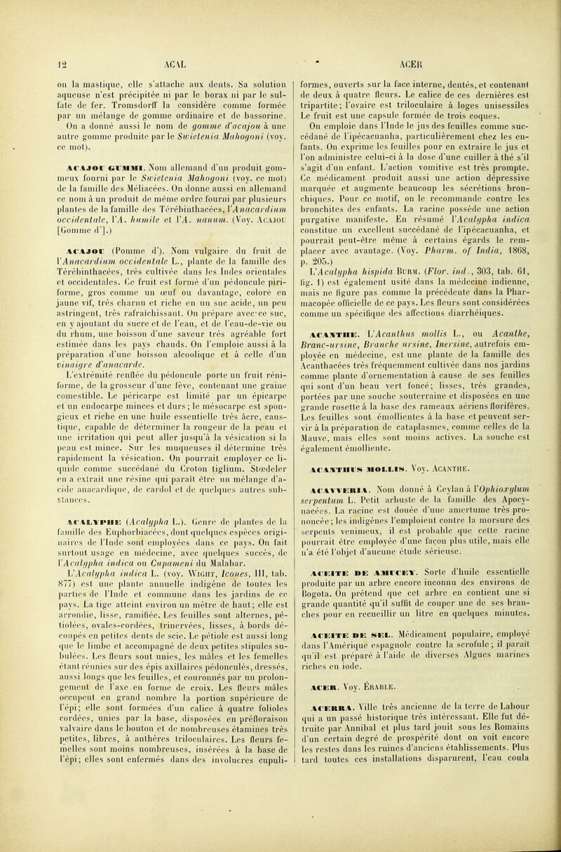 on la mastique, clic s'attache aux dents. Sa solution aqueuse n'est précipitée ni par le borax ni par le sul- fate de fer. TromsdorfT la considère comme formée par un mélange de gomme ordinaire et de bassorine. On a donné aussi le nom de gomme d'acajou à une autre gomme produite par le Swietenia Mahogoni (voy. ce mot). ACAJOU euniMi. Nom allemand d'un produit gom- meux fourni par le Sioietenia Mahogoni (voy. ce mot) de la famille des Méliacées. On donne aussi en allemand ce nom à un produit do même ordre fourni par plusieurs plantes de la famille des Térébinthacées, VA nacardium occidentale, VA. humile et l'A. nanum. (Voy. Acajou [Gomme d'].) ACAJoi; (Pomme d'). Nom vulgaire du fruit de VAnacardium occidentale L., plante de la famille des Térébinthacées, très cultivée dans les Indes orientales et occidentales. Ce fruit est formé d'un pédoncule piri- forme, gros comme un œuf ou davantage, coloré en jaune vif, très charnu et riche en un suc acide, un peu astringent, très rafraîchissant. On prépare avec-ce suc, en y ajoutant du sucre et de l'eau, et de l'eau-de-vie ou du rhum, une boisson d'une saveur très agréable fort estimée dans les pays chauds. On l'emploie aussi à la préparation d'une boisson alcoolique et à celle d'un vinaigre d'anacarde. L'extrémité renflée du pédoncule porte un fruit réni- forme, de la grosseur d'une fève, contenant une graine comestible. Le péricarpe est limité par un épicarpe et un endocarpe minces et durs ; le mésocarpe est spon- gieux et riche en une huile essentielle très âcre, caus- tique, capable de déterminer la rougeur de la peau et une irritation qui peut aller jusqu'à la vésication si la peau est mince. Sur les muqueuses il détermine très rapidement la vésication. On pourrait employer ce li- quide comme succédané du Croton tiglium. Stœdeler en a extrait une résine qui paraît être un mélange d'a- cide anacardique, de cardol et de quelques auti'cs sub- slanccs. AC'AB.Yi»iiE (Acalypha L.). Genre de plantes de la famille des Euphoi'biacécs, dont quelques espèces origi- naires de l'Inde sont employées dans ce pays. On fait surtout usage en médecine, avec quelques succès, de VAcalijpha indica ou Cupameni du Malabar. h'Acalypha indica L. (voy. Wight, Icônes, III, tab. 877) est une plante annuelle indigène de toutes les parties de l'Inde et commune dans les jardins de ce pays. La tige atteint environ un mètre de haut; elle est arrondie, lisse, ramifiée. JjCs feuilles sont alternes, pé- tiolèes, ovales-cordées, trinervées, lisses, à bords dé- coupés en petites dents de scie. Le pétiole est aussi long que le limbe et accompagné de deux petites stipules su- bulées. Les fleurs sont unies, les mâles et les femelles étant réunies sur des épis axillaires pédonculés, dressés, aussi longs que les feuilles, et couronnés par un prolon- gement de l'axe en forme de croix. Les fleurs mâles occupent en grand nombre la portion supérieure de l'épi; elle sont formées d'un calice à quatre folioles cordées, unies par la base, disposées en préfloraison valvaire dans le Jjouton et de nombreuses étamines très petites, libres, à anthères triloculaires. Les fleurs fe- melles sont moins nombreuses, insérées à la base de l'épi ; elles sont enfermés dans des involucres cupuli- formes, ouverts sur la face interne, dentés, et contenant de deux à quatre fleurs. Le calice de ces dernières est tripartile ; l'ovaire est triloculaire à loges unisessiles Le fruit est une capsule formée de trois coques. On emploie dans l'Inde le jus des feuilles comme suc- cédané de l'ipécacuanha, particulièrement chez les en- fants. On exprime les feuilles pour en extraire le jus et l'on administre celui-ci à la dose d'une cuiller à thé s'il s'agit d'un enfant. L'action vomitive est très prompte. Ce médicament produit aussi une action dépressive marquée et augmente beaucoup les sécrétions bron- chiques. Pour ce motif, on le recommande contre les bronchites des enfants. La racine possède une action purgative manifeste. En résumé VAcalypha indica constitue un excellent succédané de l'ipécacuanha, et pourrait peut-être même à certains égards le rem- placer avec avantage. (Voy. Pharm. of India, 1868, p. 205.) VAcalypha hispida Burm. (Flor. ind., 303, tab. 61, lig. 1) est également usité dans la médecine indienne, mais ne ligure pas comme la précédente dans la Phar- macopée officielle de ce pays. Les fleurs sont considérées comme un spécifique des affections diarrhéiques. ACAWTiiE. VAcanthus mollis L., ou Acanthe, Branc-ursine, Branche nrsine, Inersine, autrefois em- ployée en médecine, est une plante de la famille des Acanthacées très fréquemment cultivée dans nos jardins comme plante d'ornementation à cause de ses feuilles qui sont d'un beau vert foncé; lisses, très grandes, portées par une souche souterraine et disposées en une grande rosette à la base des rameaux aériens florifères. Les feuilles sont émollientes à la base et peuvent ser- vir à la préparation de cataplasmes, comme celles de la Mauve, mais elles sont moins actives. La souche est également émolliente. ACAMTIIUS MOLCIS. Voy. ACANTHE. ACAWERiA. Nom donné à Ceylan à VOphioxylum serpentnm L. Petit arbuste de la famille des Apocy- nacées. La racine est douée d'une amertume très pro- noncée; les indigènes l'emploient contre la morsure des serpents venimeux, il est probable que cette racine pourrait être employée d'une façon plus utile, mais elle n'a été l'objet d'aucune étude sérieuse. ACEiTE DE AMi'CEV. Sortc d'iiuilo essentielle produite par un arbre encore inconnu des environs de Bogota. On prétend (jue cet arbre en contient une si grande quantité qu'il suffit de couper une de ses bran- ches pour en recueillir un litre en quelques minutes. ACEiTE »E SEL. Médicament populaire, employé dans l'Amérique espagnole contre la scrofule ; il parait qu'il est préparé à l'aide de diverses Algues marines riches en iode. ACER. Voy. Érable. ACERRA. Ville très ancienne de la terre de Labour qui a un passé historique très intéressant. Elle fut dé- truite par Annibal et plus tard jouit sous les Romains d'un certain degré de prospérité dont on voit encore les restes dans les ruines d'anciens établissements. Plus tard toutes ces installations disparurent, l'eau coula