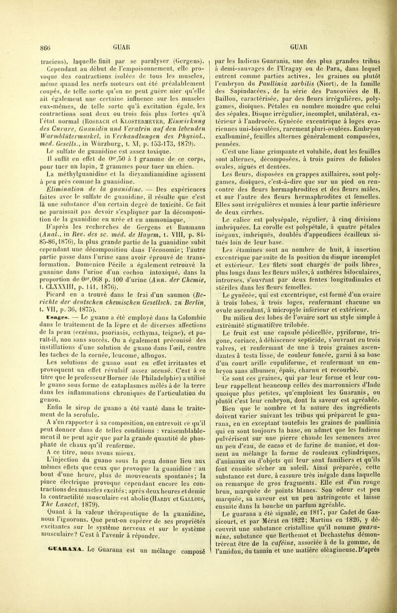 traciens), laquelle finit par se paralyser (Gcrgens). Cependant au début de l'empoisonnement, elle pro- voque des contractions isolées de tous les muscles, mèrne quand les nerfs moteurs ont été préalablement coupés, de telle sorte qu'on ne peut guère nier qu'elle ait égalemeut une certaine influence sur les muscles eux-mêmes, de telle sorte qu'à excitation égale, les contractions sont deux ou trois fois plus fortes qu'à l'état normal (Rosbacii et Klostermeyer, Einivirkung des Curare, Guanidinund Veratrin auf den lebenden WarDiblùtermuskel, in Verhandlmgcn des Physiol., med. Gcsells., in Wûrzburg, t. XI, p. 153-173, 1879). Le sulfate de guanidine est assez toxique. 11 suffit en effet de 09^50 à 1 gramme de ce corps, pour tuer un lapin, 2 grammes pour tuer un chien. La méthylguanidine et la dicyandiamidine agissent à peu près comme la guanidine. Élimination de la guanidine. — Des expériences faites avec le sulfate de guanidine, il résulte que c'est là une substance d'un certain degré de toxicité. Ce fait ne paraissait pas devoir s'expliquer par la décomposi- tion de la guanidine en urée et en ammoniaque, D'après les recherches de Gergens et Baumann (Anal., in Rev. des se. méd. de Hagem, t. VIII, p. 8i- 85-86,1876), la plus grande partie de la guanidine subit cependant une décomposition dans l'économie ; l'autre partie passe dans l'urine sans avoir éprouvé de trans- formation. Domenico Pécile a également retrouvé la guanine dans l'urine d'un cochon intoxiqué, dans la proportion de 0i'%068 p. iOO d'urine {Ann. der Chemie, t. CLXXXill, p. 141, 1876). Picard en a trouvé dans le frai d'un saumOn {Be- richte der deutschen chemischen Gesellsch. zu Berlin t. VII, p. 36, 1875). rsages. — Le guano a été employé dans la Colombie dans le traitement de la lèpre et de diverses affections de la peau (eczéma, psoriasis, ecthyma, teigne), et pa- raît-il, non sans succès. On a également préconisé des instillations d'une solution de guano dans l'œil, contre les taches de la cornée, leucome, albugos. Les solutions de guano sont en effet irritantes et provoquent un effet révulsif assez accusé. C'est à ce titre que le professeur Horner (de Philadelphie) a utilisé le guano sous forme de cataplasmes mêlés à de la terre dans les inflammations chroniques de l'articulation du genou. Enfin le sirop de guano a été vanté dans le traite- ment de la scrofule. A s'en rapporter à sa composition, on entrevoit ce qu'il peut donner dans de telles conditions : vraisemblable- ment il ne peut agir que parla grande quantité de phos- phate de chaux qu'il renferme. A ce titre, nous avons mieux. L'injection du guano sous la peau donne lieu aux mêmes eflets que ceux que provoque la guanidine : au bout d'une heure, plus de mouveuents spontanés; la pince électrique provoque cependant encore les con- tractions des muscles excités ; après deuxheures etdemic la contractilité musculaire est abolie (Hardy et Gallois, The Lancct, 1879). Quant à la valeur thérapeutique de la guanidine, nous l'ignorons. Que peut-on espérer de ses propriétés excitantes sur le système nerveux et sur le système musculaire? C'est à l'avenir à répondre. ovAaAivA. Le Guarana est un mélange composé par les Indiens Guaranis, une des plus grandes tribus à deini-sauvages de l'Uragay ou de Para, dans lequel entrent comme parties actives, les graines ou plutôt l'embryon du Paullinia sorbilis (Niort), de la famille des Sapindacées, de la série des Pancoviées de H. Bâillon, caractérisée, par des fleurs irrégulières, poly- games, dioïques. Pétales en nombre moindre que celui des sépales. Disque irrégulier, incomplet, unilatéral, ex- térieur à l'androcée. Gynécée excentrique à loges ova- riennes uni-biovulées, rarement pluri-ovulées. Embryon exalbuminé, feuilles alternes généralement composées, pennées. C'est une liane grimpante et volubile, dont les feuilles sont alternes, décomposées, à trois paires de folioles ovales, aiguës et dentées. Les fleurs, disposées en grappes axillaires, sont poly- games, dioïques, c'est-à-dire que sur un pied on ren- contre des fleurs hermaphrodites et des fleurs mâles, et sur l'autre des fleurs hermaphrodites et femelles. Elles sont irrégulières et munies à leur partie inférieure de deux cirrhes. Le calice est polysépale, régulier, à cinq divisions imbriquées. La corolle est polypétale, à quatre pétales inégaux, imbriqués, doublés d'appendices écailleux si- tués loin de leur Ijase. Les étamines sont au nombre de huit, à insertion excentrique par suite de la position du disque incomplet et extérieur. Les filets sont chargés de poils libres^ plu.s longs dans les fleurs mâles, à anthères biloculaires, introrses, s'ouvfant par deux fentes longitudinales et stériles dans les fleurs femelles. Le gynécée, qui est excentrique, est formé d'un ovaire à trois lobes, à trois loges, renfermant chacune un ovule ascendant, à micropyle inférieur et extérieur. Du milieu des lobes de l'ovaire sort un style simple à extrémité stigmatifère trilobée. Le fruit est une capsule pédicellée, pyriforme, tri- gone, coriace, àdéhiscence septicide, s'ouvrant en trois valves, et renfermant de une à trois graines ascen- dantes à testa lisse, de couleur foncée, garni à sa base d'un court arille cupuliforme, et renfermant un em- bryon sans albumen, épais, charnu et recourbé. Ce sont ces graines, qui par leur forme et leur cou- leur rappellent beaucoup celles des marronniers d'Inde quoique plus petites, qu'emploient les Guaranis, ou plutôt c'est leur embryon, dont la saveur est agréable. Bien que le nombre et la nature des ingrédients doivent varier suivant les tribus qui préparent le gua- rana, en en exceptant toutefois les graines de paullinia qui en sont toujours la base, on admet que les Indiens pulvérisent sur une pierre chaude les semences avec un peu d'eau, de cacao et de farine de manioc, et don- nent au mélange la forme de rouleaux cylindriques, d'animaux ou d'objets qui leur sont familiers et qu'ils font ensuite sécher au soleil. Ainsi préparée, cette substance est dure, à cassure très inégale dans laquelle on remarque de gros fragments. Elle est d'un rouge brun, marquée de points blancs. Son odeur est peu marquée, sa saveur est un peu astringente et laisse ensuite dans la bouche un parfum agréable. Le guarana a été signalé, en 1817, par Cadet de Gas- sicourt, et par Mérat en 1822; Martius en 1826, y dé- couvrit une substance cristalline qu'il nomme guara- ninc, substance que Berthcmot et Dechastelus démon- trèrent être de la caféine, associée à de la gomme, de l'amidon, du tannin et une matière oléagineuse. D'après