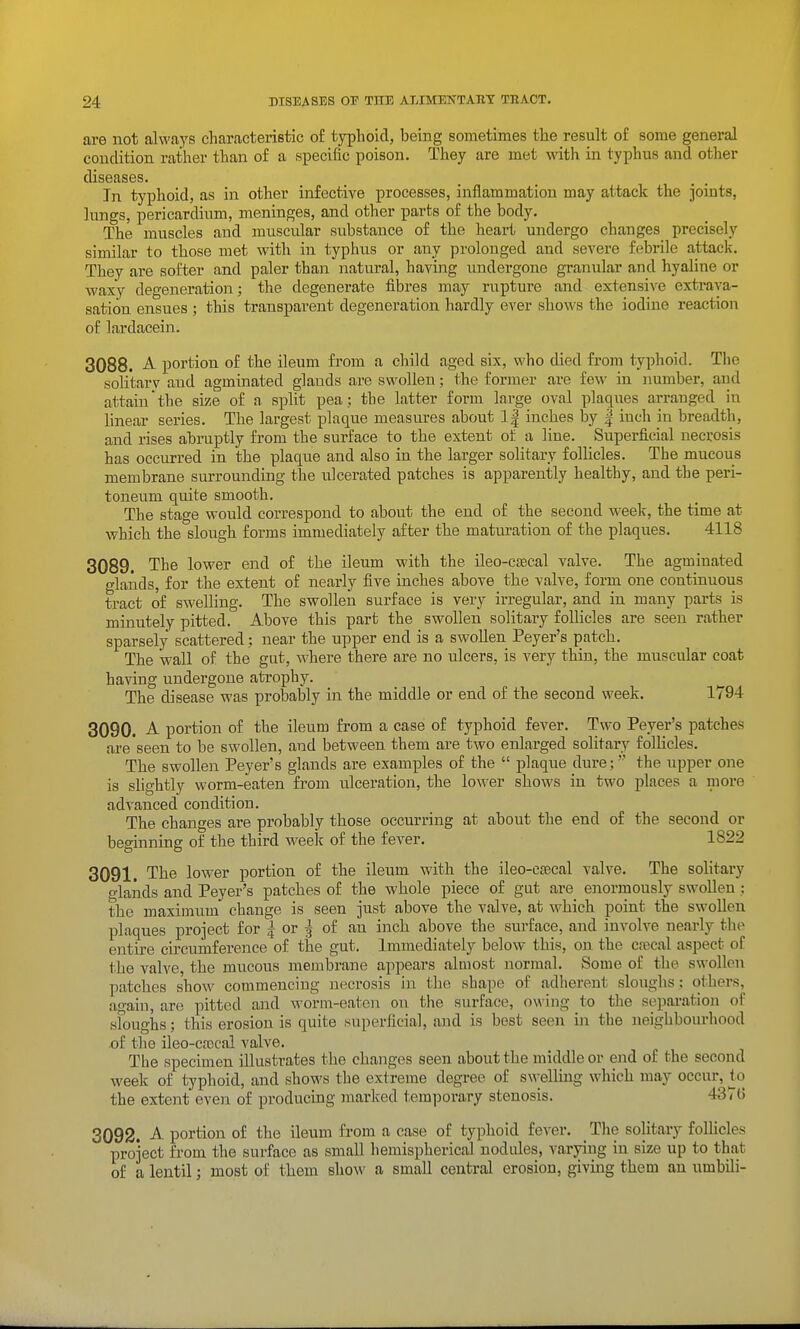 are not always characteristic o£ typhoid, being sometimes the result of some general condition rather than of a specific poison. They are met with in typhus and other diseases. In typhoid, as in other infective processes, inflammation may attack the joints, lungs, pericardium, meninges, and other parts of the body. The muscles and muscular substance of the heart undergo changes precisely similar to those met with in typhus or any prolonged and severe febrile attack. They are softer and paler than natural, having undergone granular and hyaline or waxy degeneration; the degenerate fibres may rupture and extensive extrava- sation ensues ; this transparent degeneration hardly ever shows the iodine reaction of lardacein. 3088. A portion of the ileum from a child aged six, who died from typhoid. The solitary and agminated glands are swollen; the former are few in number, and attain the size of a split pea; the latter form large oval plaqiies arranged in linear series. The largest plaque measures about 1| inches by | inch in breadth, and rises abruptly from the surface to the extent of a line. Superficial necrosis has occurred in the plaque and also in the larger solitary follicles. The mucous membrane surrounding the ulcerated patches is apparently healthy, and the peri- toneum quite smooth. The stage would correspond to about the end of the second week, the time at which the slough forms immediately after the maturation of the plaques. 4118 3089. The lower end of the ileum -with the ileo-caecal valve. The agminated glands, for the extent of nearly five inches above the valve, form one continuous tract of swelling. The swollen surface is very irregular, and in many parts is minutely pitted. Above this part the swollen solitary follicles are seen rather sparsely scattered; near the upper end is a swoUen Peyer's patch. The wall of the gut, where there are no ulcers, is very thin, the muscular coat having undergone atrophy. The disease was probably in the middle or end of the second week. 1794 3090. A portion of the ileum from a case of typhoid fever. Two Peyer's patches are'seen to be swollen, and between them are two enlarged solitary follicles. The swollen Peyer's glands are examples of the  plaque dure; the upper one is slightly worm-eaten from ulceration, the lower shows in two places a more advanced condition. The changes are probably those occurring at about the end of the second or beginning of the third week of the fever. 1822 3091. The lower portion of the ileum with the ileo-csecal valve. The solitary glands and Peyer's patches of the whole piece of gut are eiiormously swollen; the maximum change is seen just above the valve, at w^hich point the swollen plaques project for | or ^ of an inch above the surface, and involve nearly the entire circumference of the gut. Immediately below this, on the cecal aspect of the valve, the mucous membrane appears almost normal. Some of the swollen patches show commencing necrosis in the shape of adherent sloughs: others, again, are pitted and worm-eaten on the surface, owing to the separation of sfoughs; this erosion is quite superficial, and is best seen in the neighbourhood of the ileo-ca)cal valve. The specimen illustrates the changes seen about the middle or end of the second week of typhoid, and shows the extreme degree of SM^elling which may occur, to the extent even of producing marked temporary stenosis. 4376 3092. -A- portion of the ileum from a case of typhoid fever. _ The solitary follicles project from the surface as small hemispherical nodules, varying in size up to that of a lentil; most of them show a small central erosion, giving them an nmbili-