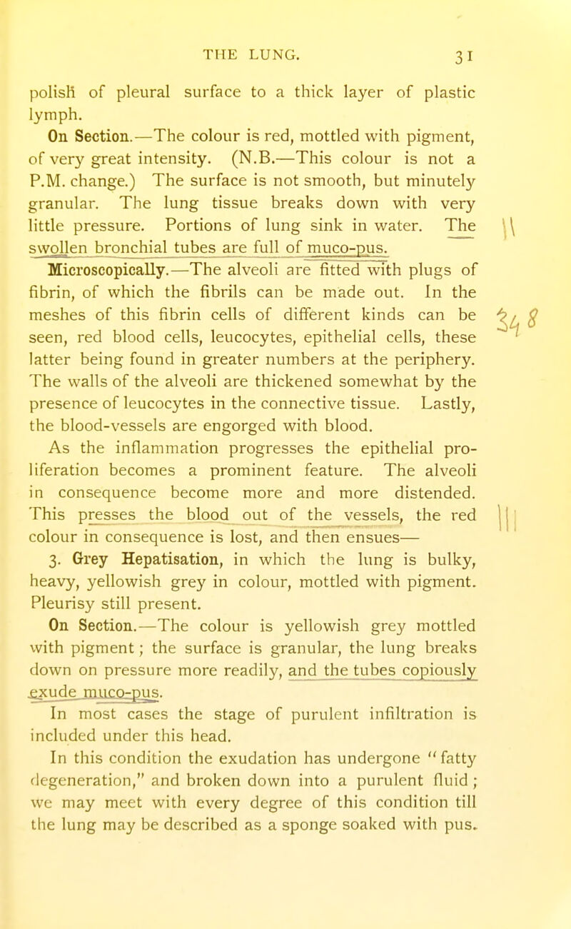 poHsH of pleural surface to a thick layer of plastic lymph. On Section.—The colour is red, mottled with pigment, of very great intensity. (N.B.—This colour is not a P.M. change.) The surface is not smooth, but minutely granular. The lung tissue breaks down with very little pressure. Portions of lung sink in water. The swollen bronchial tubes are full of muco-pus. Microscopically.—The alveoli are fitted with plugs of fibrin, of which the fibrils can be made out. In the meshes of this fibrin cells of different kinds can be seen, red blood cells, leucocytes, epithelial cells, these latter being found in greater numbers at the periphery. The walls of the alveoli are thickened somewhat by the presence of leucocytes in the connective tissue. Lastly, the blood-vessels are engorged with blood. As the inflammation progresses the epithelial pro- liferation becomes a prominent feature. The alveoli in consequence become more and more distended. This presses the blood out of the vessels, the red colour in consequence is lost, and then ensues— 3. Grey Hepatisation, in which the lung is bulky, heavy, yellowish grey in colour, mottled with pigment. Pleurisy still present. On Section.—The colour is yellowish grey mottled with pigment; the surface is granular, the lung breaks down on pressure more readily, and the tubes copiously .exude muco-pus. In most cases the stage of purulent infiltration is included under this head. In this condition the exudation has undergone  fatty degeneration, and broken down into a purulent fluid; we may meet with every degree of this condition till the lung may be described as a sponge soaked with pus.