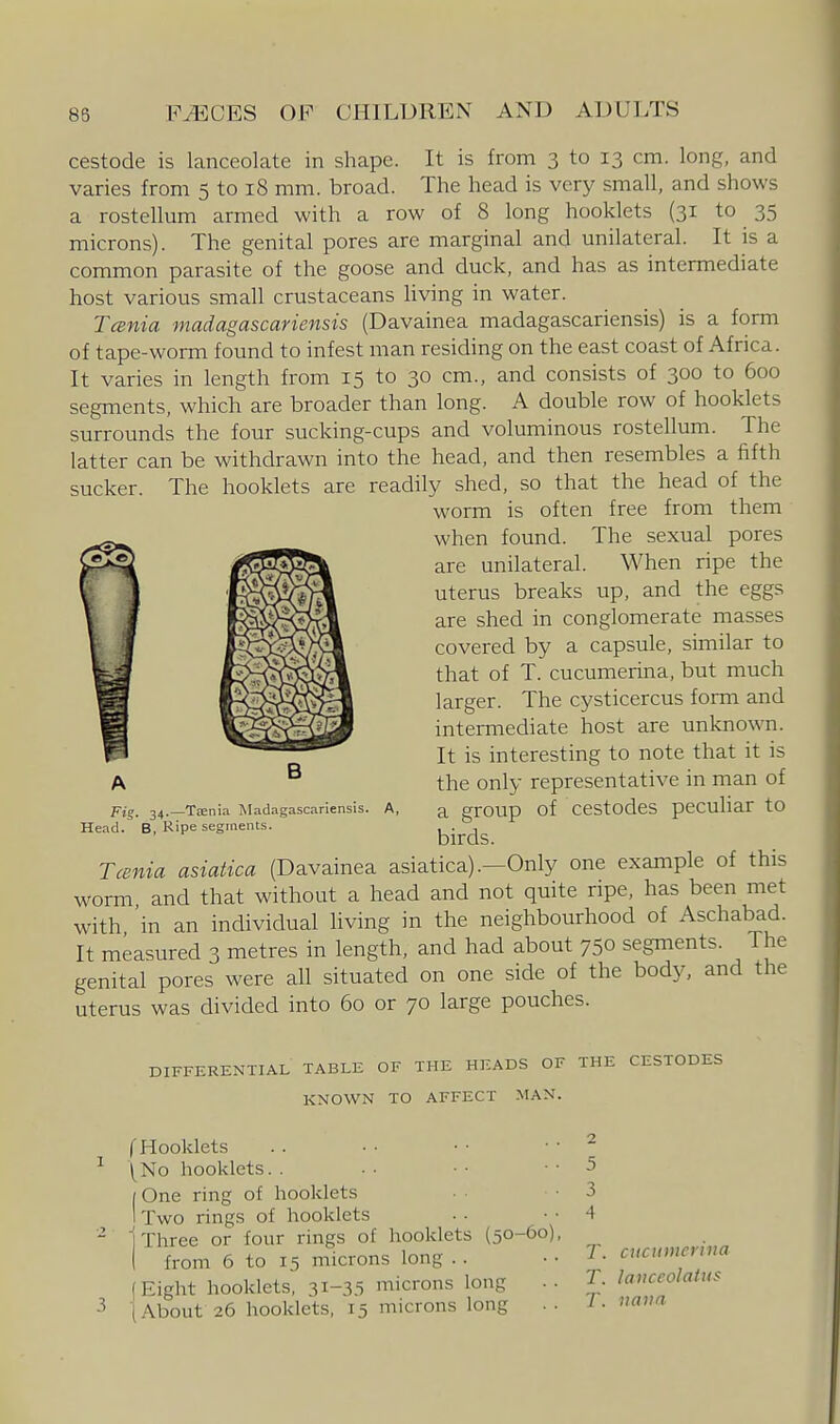 cestode is lanceolate in shape. It is from 3 to 13 cm. long, and varies from 5 to 18 mm. broad. The head is very small, and shows a rostellum armed with a row of 8 long hooklets (31 to 35 microns). The genital pores are marginal and unilateral. It is a common parasite of the goose and duck, and has as intermediate host various small crustaceans hving in water. Tcenia madagascariensis (Davainea madagascariensis) is a form of tape-worm found to infest man residing on the east coast of Africa. It varies in length from 15 to 30 cm., and consists of 300 to 600 segments, which are broader than long. A double row of hooklets surrounds the four sucking-cups and voluminous rostellum. The latter can be withdrawn into the head, and then resembles a fifth sucker. The hooklets are readily shed, so that the head of the worm is often free from them when found. The sexual pores are unilateral. When ripe the uterus breaks up, and the eggs are shed in conglomerate masses covered by a capsule, similar to that of T. cucumerina, but much larger. The cysticercus form and intermediate host are unknown. It is interesting to note that it is the only representative in man of a group of cestodes peculiar to birds. Tcenia asiatica (Davainea asiatica).—Only one example of this worm and that without a head and not quite ripe, has been met with 'in an individual living in the neighbourhood of Aschabad. It measured 3 metres in length, and had about 750 segments. The genital pores were all situated on one side of the body, and the uterus was divided into 60 or 70 large pouches. Pig_ 34.—Taenia Madagascariensis. A, Head. B, Ripe segments. DIFFERENTIAL TABLE OF THE HEADS OF THE CESTODES KNOWN TO AFFECT MAN. f Hooklets \No hooklets. . [ One ring of hooklets I Two rings of hooklets 1 Three or four rings of hooklets (50-60) I from 6 to 15 microns long . . (Eight hooklets, 31-35 microns long (About 26 hooklets, 15 microns long 2 5 3 4 T. cucuiuerina T. lanceolatus T. uaim