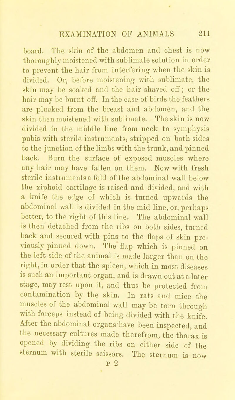 board. The skin of tbe abdomen and chest is now thoroughl}^ moistened with sublimate solution in order to prevent the hair from interfering when the skin is divided. Or, before moistening with sublimate, the skin may be soaked and the hair shaved off; or the hair may be burnt off. In the case of birds the feathers are plucked from the breast and abdomen, and the skin then moistened with sublimate. The skin is now divided in the middle line from neck to symphysis pubis with sterile instruments, stripped on both sides to the junction of the limbs with the trunk, and pinned back. Burn the surface of exposed muscles where any hair may have fallen on them. Now with fresh sterile instruments a fold of the a,bdominal wall below the xiphoid cartilage is raised and divided, and with a knife the edge of which is turned upwards the abdominal wall is divided in the mid line, or, perhaps better, to the right of this line. The abdominal wall is then' detached from the ribs on both sides, turned back and secured with pins to the flaps of skin pre- viously pinned down. The' flap which is pinned on the left side of the animal is made larger than on the right, in order that the spleen, which in most diseases is such an important organ, and is drawn out at a later stage, may rest upon it, and thus be protected from contamination by the skin. In rats and mice the muscles of the abdominal wall may be torn through with forceps instead of being divided with the knife. After the abdominal organs have been inspected, and the necessary cultures made therefrom, the thorax is opened by dividing the ribs on either side of the sternum with sterile scissors. Tbe sternum is now p 2