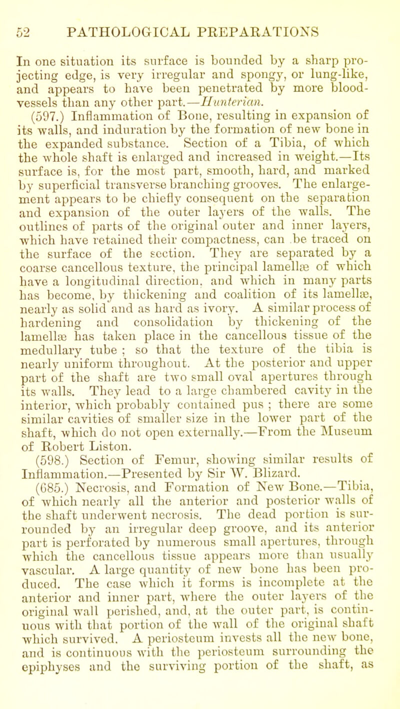 In one situation its surface is bounded by a sharp pro- jecting edge, is very irregular and spongy, or lung-like, and appears to have been penetrated by more blood- vessels than any other part.—Hunterian. {5^7.) Inflammation of Bone, resulting in expansion of its walls, and induration by the formation of new bone in the expanded substance. Section of a Tibia, of which the whole shaft is enlarged and increased in weight.—Its surface is, for the most part, smooth, hard, and marked by superficial transverse branching grooves. The enlarge- ment appears to be chiefly consequent on the separation and expansion of the outer layers of the walls. The outlines of parts of the original outer and inner layers, which have retained their compactness, can be traced on the surface of the section. They are separated by a coarse cancellous texture, the principal lamellte of which have a longitudinal direction, and which in many parts has become, by thickening and coalition of its lamellte, nearly as solid and as hard as ivory. A similar process of hardening and consolidation by thickening of the lamellai has taken place in the cancellous tissue of the medullary tube ; so that the texture of the tibia is nearly uniform throughout. At the posterior and upper part of the shaft are two small oval apertures through its walls. They lead to a large chambered cavity in the interior, which probably contained pus ; there are some similar cavities of smaller size in the lower part of the shaft, which do not open externally.—From the Museum of Robert Listen. (598.) Section of Femur, showing similar results of Inflammation.—Presented by Sir W. Blizard. (G85.) Necrosis, and Formation of New Bone.—Tibia, of which nearly all the anterior and posterior walls of the shaft underwent necrosis. The dead portion is sur- rounded by an irregular deep groove, and its anterior part is perforated by numerous small apertures, through which the cancellous tissue appears more than usually vascular. A large quantity of new bone has been pro- duced. The case which it forms is incomplete at the anterior and inner part, where the outer layers of the original wall perished, and, at the outer part, is contin- uous with that portion of the wall of the original shaft which survived. A periosteum invests all the new bone, and is continuous with the periosteum surrounding the epiphyses and the surviving portion of the shaft, as