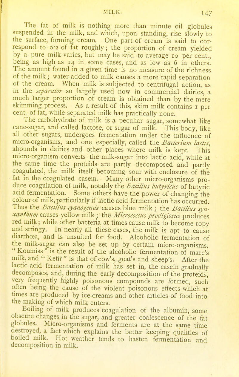 MILK. The fat of milk is nothing more than minute oil globules suspended in the milk, and which, upon standing, rise slowly to the surface, forming cream. One part of cream is said to cor- respond to o'2 of fat roughly; the proportion of cream yielded by a pure milk varies, but may be said to average 10 per cent., being as high as 14 in some cases, and as low as 6 in others. The amount found in a given time is no measure of the richness of the milk; water added to milk causes a more rapid separation of the cream. When milk is subjected to centrifugal action, as in the separator so largely used now in commercial dairies, a much larger proportion of cream is obtained than by the mere skimming process. As a result of this, skim milk contains i per cent, of fat, while separated milk has practically none. The carbohydrate of milk is a peculiar sugar, somewhat like cane-sugar, and called lactose, or sugar of milk. This body, like all other sugars, undergoes fermentation under the influence of micro-organisms, and one especially, called the Bacterium lactis, abounds in dairies and other places where milk is kept. This micro-orgaiiism converts the milk-sugar into lactic acid, while at the same time the proteids are partly decomposed and partly coagulated, the milk itself becoming sour with enclosure of the fat in the coagulated casein. Many other micro-organisms pro- duce coagulation of milk, notably the Bacillus butyricus of butyric acid fermentation. Some others have the power of changing the colour of milk, particularly if lactic acid fermentation has occurred. Thus the Bacillus cyamgemis causes blue milk ; the Bacillus syii- xant/nmi causes yellow milk; the Micrococcus prodigiosus produces red milk; while other bacteria at times cause milk to become ropy and stringy. In nearly all these cases, the milk is apt to cause diarrhoea, and is unsuited for food. Alcoholic fermentation of the milk-sugar can also be set up by certain micro-organisms.  Koumiss  is the result of the alcoholic fermentation of mare's milk, and  Kefir  is that of cow's, goal's and sheep's. After the lactic acid fermentation of milk has set in, the casein gradually decomposes, and, during the early decomposition of the proteids, very frequently highly poisonous compounds are formed, such often being the cause of the violent poisonous effects which at times are produced by ice-creams and other articles of /ood into the making of which milk enters. Boiling of milk produces coagulation of the albumin, some obscure changes in the sugar, and greater coalescence of the fat globules. Micro-organisms and ferments are at the same time destroyed, a fact which explains the better keeping qualities of boiled milk. Hot weather tends to hasten fermentation and decomposition in milk.