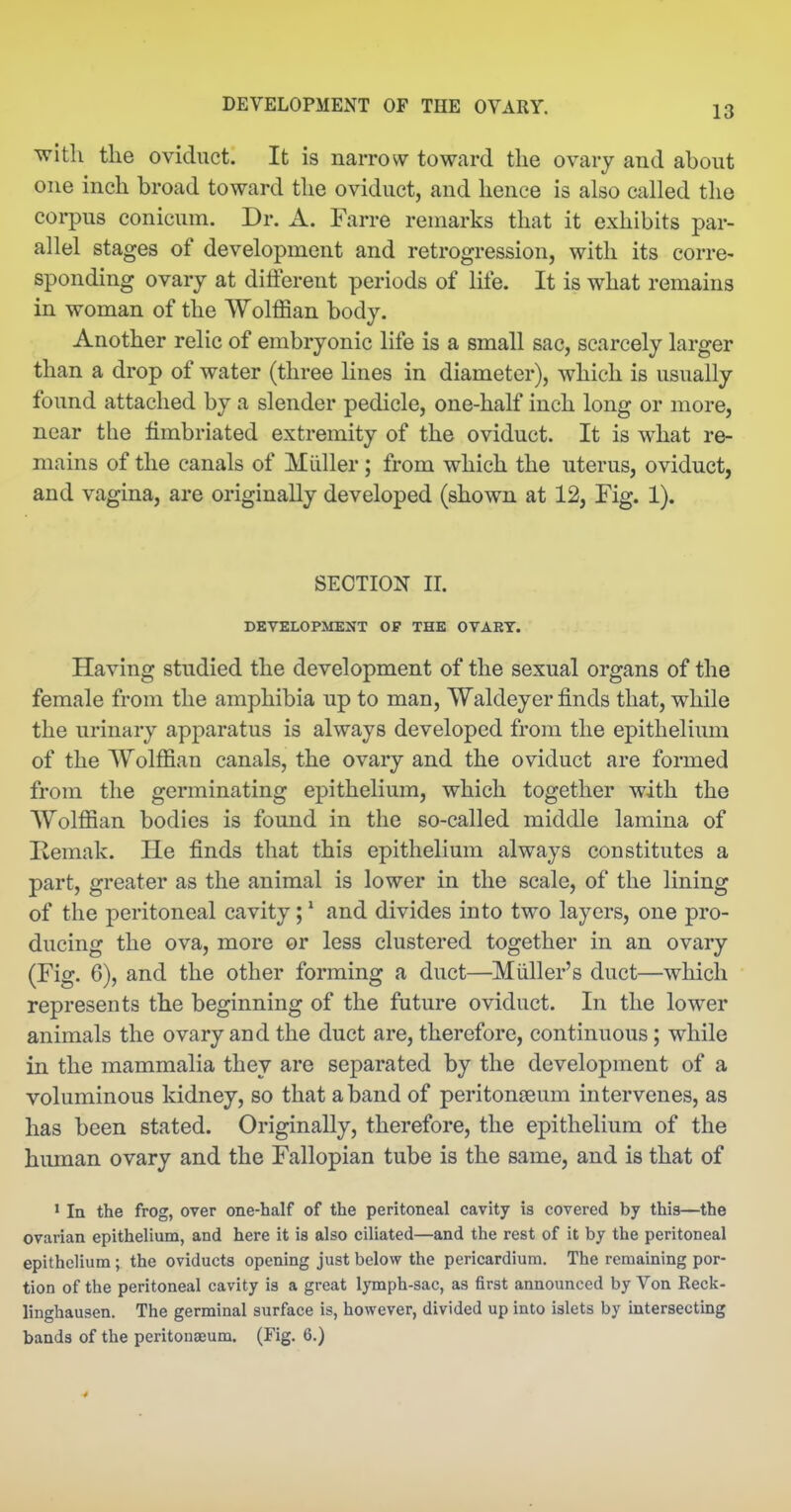 with the oviduct. It is narrow toward the ovary and about one inch broad toward the oviduct, and hence is also called the corpus conicum. Dr. A. Farre remarks that it exhibits par- allel stages of development and retrogression, with its corre- sponding ovary at diiferent periods of life. It is what remains in woman of the Wolffian body. Another relic of embryonic life is a small sac, scarcely larger than a drop of water (three hues in diameter), which is usually found attached by a slender pedicle, one-half inch long or more, near the fimbriated extremity of the oviduct. It is what re- mains of the canals of Muller; from which the uterus, oviduct, and vagina, are originally developed (shown at 12, Fig. 1). SECTION II. DEVELOPMENT OF THE OVAET. Having studied the development of the sexual organs of the female from the amphibia up to man, Waldeyer finds that, while the urinary apparatus is always developed from the epithelium of the Wolffian canals, the ovary and the oviduct are formed from the germinating epithelium, which together with the Wolffian bodies is found in the so-called middle lamina of Remak. He finds that this epithelium always constitutes a part, greater as the animal is lower in the scale, of the lining of the peritoneal cavity;' and divides into two layers, one pro- ducing the ova, more or less clustered together in an ovary (Fig. 6), and the other forming a duct—Miiller's duct—which represents the beginning of the future oviduct. In the lower animals the ovary and the duct are, therefore, continuous; while in the mammalia they are separated by the development of a voluminous kidney, so that a band of peritonseum intervenes, as has been stated. Originally, therefore, the epithelium of the human ovary and the Fallopian tube is the same, and is that of ' In the frog, over one-half of the peritoneal cavity is covered by this—the ovarian epithelium, and here it ia also ciliated—and the rest of it by the peritoneal epithelium; the oviducts opening just below the pericardium. The remaining por- tion of the peritoneal cavity is a great lymph-sac, as first announced by Von Reck- linghausen. The germinal surface is, however, divided up into islets by intersecting bands of the peritona;um. (Fig. 6.) ■*