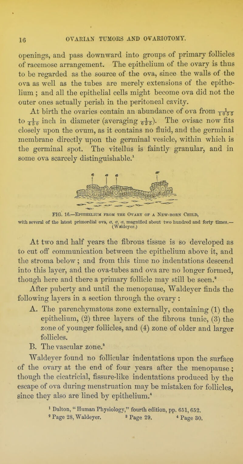openings, and pass downward into groups of primary follicles of racemose arrangement. The epithelium of the ovary is thus to be regarded as the source of the ova, since the walls of the ova as well as the tubes are merely extensions of the epithe- lium ; and all the epithelial cells might become ova did not the outer ones actually perish in the peritoneal cavity. At birth the ovaries contain an abundance of ov^a from Yihr to inch in diameter (averaging -^j). The ovisac now fits closely upon the ovum, as it contains no fluid, and the germinal membrane directly upon the germinal vesicle, within which is the germinal spot. The vitellus is faintly granular, and in some ova scarcely distinguishable.* FIG. 16.—Epithelium fkom the Ovary of a New-born Child, with several of the latest primordial ova, a. a, a. magnified about two hundred and forty times.— (Waldeyer.) At two and half years the fibrous tissue is so developed as to cut off communication between the epithelium above it, and the stroma below; and from this time no indentations descend into this layer, and the ova-tubes and ova are no longer formed, though here and there a primary follicle may still be seen. After puberty and until the menopause, Waldeyer finds the following layers in a section through the ovary : A. The parenchymatous zone externally, containing (1) the epithelium, (2) three layers of the fibrous tunic, (3) the zone of younger follicles, and (4) zone of older and larger follicles. B. The vascular zone. Waldeyer found no follicular indentations upon the surface of the ovary at the end of four years after the menopause; though the cicatricial, fissure-like indentations produced by the escape of ova during menstruation may be mistaken for follicles, since they also are lined by epithelium.* ' Dalton,  Human Physiology, fourth edition, pp. 651, 652. « Page 28, Waldeyer. » Page 29. •* Page 30.