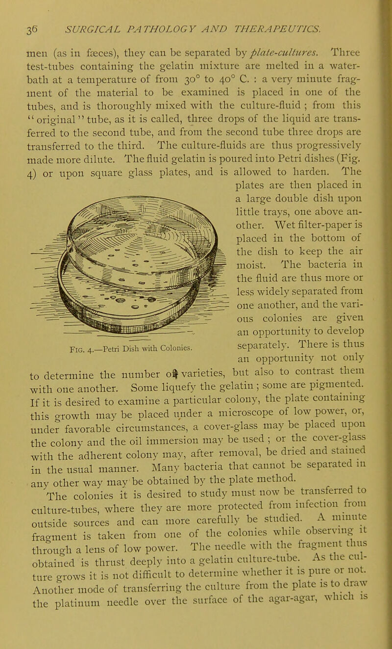 men (as in faeces), they can be separated by plate-cultures. Three test-tubes containing the gelatin mixture are melted in a water- bath at a temperature of from 30° to 40° C. : a very minute frag- ment of the material to be examined is placed in one of the tubes, and is thoroughly mixed with the culture-fluid ; from this  original tube, as it is called, three drops of the liquid are trans- ferred to the second tube, and from the second tube three drops are transferred to the third. The culture-fluids are thus progressively made more dilute. The fluid gelatin is poured into Petri dishes (Fig, 4) or upon square glass plates, and is allowed to harden. The plates are then placed in a large double dish upon little trays, one above an- other. Wet filter-paper is placed in the bottom of the dish to keep the air moist. The bacteria in the fluid are thus more or less widely separated from one another, and the vari- ous colonies are given an opportunity to develop separately. There is thus an opportunity not only to determine the number 0% varieties, but also to contrast them with one another. Some liquefy the gelatin; some are pigmented. If it is desired to examine a particular colony, the plate containing this growth may be placed under a microscope of low power, or, under favorable circumstances, a cover-glass may be placed upon the colony and the oil immersion ma)^ be used ; or the cover-glass with the adherent colony may, after removal, be dried and stained in the usual manner. Many bacteria that cannot be separated m any other way may be obtained by the plate method. The colonies it is desired to study must now be transferred to culture-tubes, where they are more protected from infection from outside sources and can more carefully be studied. A minute frao-ment is taken from one of the colonies while observing it through a lens of low power. The needle with the fragment thus obtained is thrust deeply into a gelatin culture-tube. As the cul- ture grows it is not difficult to determine whether it is pure or not. Another mode of transferring the culture from the plate is to draw the platinum needle over the surface of the agar-agar, which is Fig. 4.—Petri Dish with Colonies.