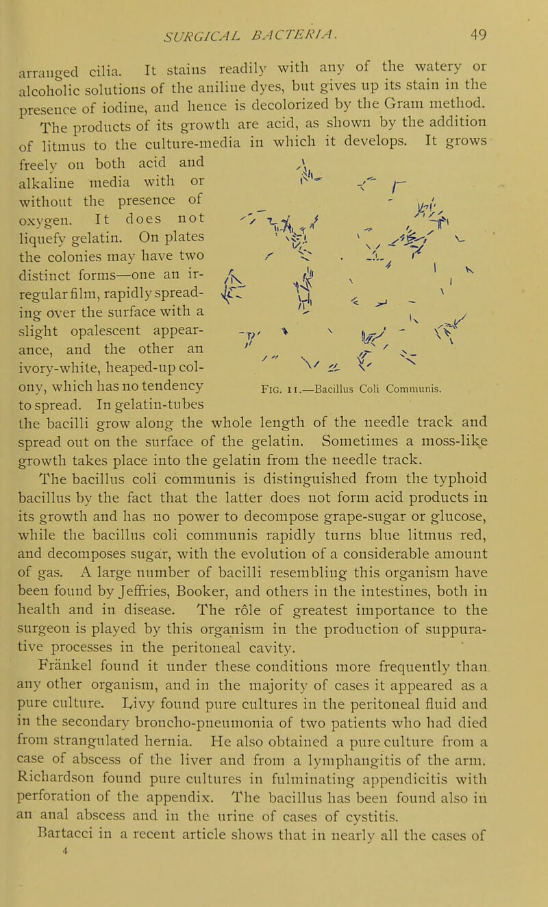 arranged cilia. It stains readily with any of the watery or alcoholic solutions of the aniline dyes, but gives up its stain in the presence of iodine, and hence is decolorized by the Gram method. The products of its growth are acid, as shown by the addition of litmus to the culture-media in which it develops. It grows freely on both acid and ,\ alkaline media with or ^ without the presence of ^ - ^^>, oxygen. It does not -'^ t,^-^^ _ / ^ /'^''' liquefy gelatin. On plates ''v^^. \/ -^'^-^'^ ^ the colonies may have two r , _fu^ distinct forms—one an ir- ^ ' i ^ regular film, rapidly spread- xjrr ^ <, ^ - ^ ing over the surface with a k y slight opalescent appear- -^y \ \ - >(v ance, and the other an ,P ^ ^ ivory-white, heaped-up col- '^^ ii- \' ony, which has no tendency Fig. h.—Bacillus Coli Communis. to spread. In gelatin-tubes the bacilli grow along the whole length of the needle track and spread out on the surface of the gelatin. Sometimes a moss-like growth takes place into the gelatin from the needle track. The bacillus coli communis is distinguished from the typhoid bacillus by the fact that the latter does not form acid products in its growth and has no power to decompose grape-sugar or glucose, while the bacillus coli communis rapidly turns blue litmus red, and decomposes sugar, with the evolution of a considerable amount of gas. A large number of bacilli resembling this organism have been found by Jeffries, Booker, and others in the intestines, both in health and in disease. The role of greatest importance to the surgeon is played by this organism in the production of suppura- tive processes in the peritoneal cavity. Frankel found it under these conditions more frequently than, any other organism, and in the majority of cases it appeared as a pure culture. Livy found pure cultures in the peritoneal fluid and in the secondary broncho-pneumonia of two patients who had died from strangulated hernia. He also obtained a pure culture from a case of abscess of the liver and from a lymphangitis of the arm. Richard.son found pure cultures in fulminating appendicitis with perforation of the appendix. The bacillus has been found also in an anal abscess and in the urine of cases of cystitis. Bartacci in a recent article shows that in nearly all the cases of 4