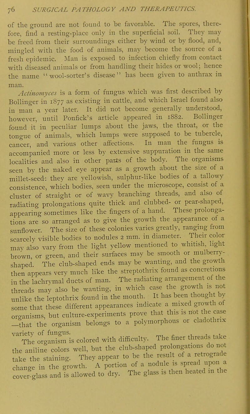 of the ground are not found to be favorable. The spores, there- fore, find a resting-place only in the superficial soil. They may be freed from their surroundings either by wind or by flood, and, mingled with the food of animals, may become the source of a fresh epidemic. Man is exposed to infection chiefly from contact with diseased animals or from handling their hides or wool; hence the name wool-sorter's disease has been given to anthrax in man. Actinomyces is a form of fungus which was first described by Bollinger in 1877 as existing in cattle, and which Israel found also in man a year later. It did not become generally understood, however, until Ponfick's article appeared in 1882. Bollinger found it in peculiar lumps about the jaws, the throat, or the tongue of animals, which lumps were supposed to be tubercle, cancer, and various other affections. In man the fungus is accompanied more or less by extensive suppuration in the same localities and also in other parls of the body. The organisms seen by the naked eye appear as a growth about the size of a millet-seed: they are yellowish, sulphur-like bodies of a tallowy consistence, which bodies, seen under the microscope, consist of a cluster of straight or of wavy branching threads, and also of radiating prolongations quite thick and clubbed- or pear-shaped, appearing sometimes like the fingers of a hand. These prolonga- tions are so arranged as to give the growth the appearance of a sunflower. The size of these colonies varies greatly, ranging from scarcely visible bodies to nodules 2 mm. in diameter. Their color may also vary from the light yellow mentioned to whitish, light brown, or green, and their surfaces may be smooth or mulberry- shaped The club-shaped ends may be wanting, and the growth then appears very much like the streptothrix found as concretions in the lachrymal ducts of man. The radiating arrangement of the threads may also be wanting, in which case the growth is not unlike the leptothrix found in the mouth. It has been thought by some that these different appearances indicate a mixed growth ot oro-anisms, but culture-experiments prove that this is not the case -that the organism belongs to a polymorphous or cladothnx ''^'he 4^ilm'is colored with difficulty. The finer threads take the aniline colors well, but the club-shaped prolongations do not take the staining. They appear to be the result of a retrograde chance in the growth. A portion of a nodule is spread upon a cover-glass and is allowed to dry. The glass is then heated in the
