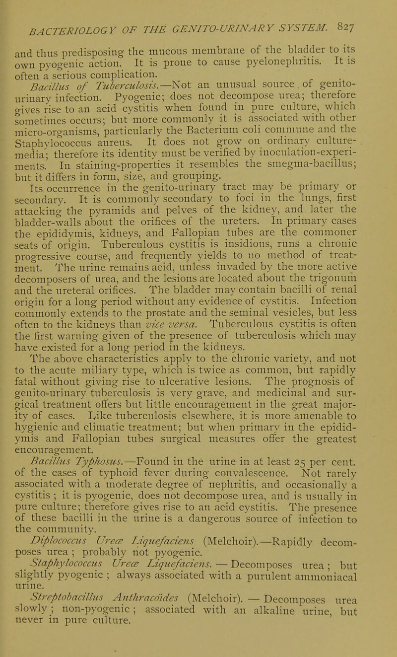 and thus predisposing the mucous membrane of the bladder to its own pyogenic action. It is prone to cause pyelonephritis. It is often a serious complication. Bacillus of Tuberculosis.—^ot an unusual source . of genito- urinary infection. Pyogenic; does not decompose urea; therefore o-ives rise to an acid cystitis when found in pure culture, which sometimes occurs; but'more commonly it is associated with other micro-organisms, particularly the Bacterium coli commune and the Staphvlo'coccus aureus. It does not grow on ordinary culture- media'; therefore its identity must be verified by inoculation-experi- ments. In staining-properties it resembles the smegma-bacillus; but it differs in form, size, and grouping. Its occurrence in the genito-urinary tract may be primary or secondary. It is commonly secondary to foci in the lungs, first attacking the pyramids and pelves of the kidney, and later the bladder-walls about the orifices of the ureters. In primary cases the epididymis, kidneys, and Fallopian tubes are the commoner seats of origin. Tuberculous cystitis is insidious, runs a chronic progressive course, and frequently yields to no method of treat- ment. The urine remains acid, unless invaded by the more active decomposers of urea, and the lesions are located about the trigonum and the ureteral orifices. The bladder may contain bacilli of renal origin for a long period without any evidence of cystitis. Infection commonly extends to the prostate and the seminal vesicles, but less often to the kidneys than vice versa. Tuberculous cystitis is often the first warning given of the presence of tuberculosis which may have existed for a long period in the kidneys. The above characteristics apply to the chronic variety, and not to the acute miliary type, which is twice as common, but rapidly- fatal without giving rise to ulcerative lesions. The prognosis of genito-urinary tuberculosis is very grave, and medicinal and sur- gical treatment offers but little encouragement in the great major- ity of cases. Like tuberculosis elsewhere, it is more amenable to hygienic and climatic treatment; but when primary in the epidid- ymis and Fallopian tubes surgical measures offer the greatest encouragement. Bacillus Typhosus.—Found in the urine in at least 25 per cent, of the cases of typhoid fever during convalescence. Not rarely associated with a moderate degree of nephritis, and occasionally a cystitis ; it is pyogenic, does not decompose urea, and is usually in pure culture; therefore gives rise to an acid cystitis. The presence of these bacilli in the urine is a dangerous source of infection to the community. Diplococcus Urea' Liquefaciens (Melclioir).—Rapidly decom- poses urea ; probably not pyogenic. Staphylococcus UrccB Liquefaciens.—Decomposes urea; but slightly pyogenic ; always associated with a purulent ammoniacal urine. Streptobacillus Anthracd'ides (Melclioir). — Decomposes urea slowly ; non-pyogenic; associated with an alkaline urine, but never in pure culture.