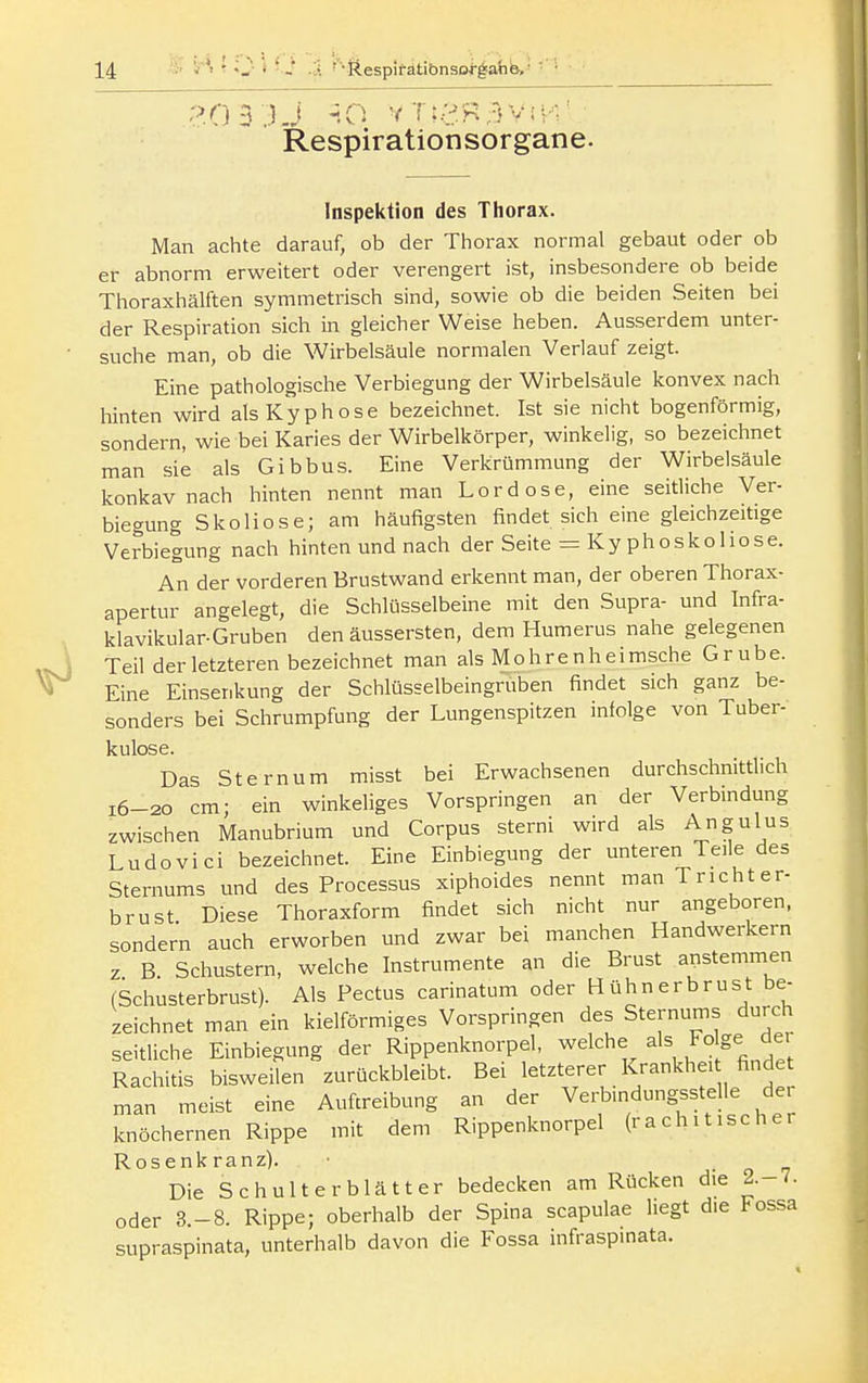 Respirationsorgane. lnspektion des Thorax. Man achte darauf, ob der Thorax normal gebaut oder ob er abnorm erweitert oder verengert ist, insbesondere ob beide Thoraxhälften symmetrisch sind, sowie ob die beiden Seiten bei der Respiration sich in gleicher Weise heben. Ausserdem unter- suche man, ob die Wirbelsäule normalen Verlauf zeigt. Eine pathologische Verbiegung der Wirbelsäule konvex nach hinten wird als Kyphose bezeichnet. Ist sie nicht bogenförmig, sondern, wie bei Karies der Wirbelkörper, winkelig, so bezeichnet man sie als Gibbus. Eine Verkrümmung der Wirbelsäule konkav nach hinten nennt man Lord ose, eine seitliche Ver- biegung Skoliose; am häufigsten findet sich eine gleichzeitige Verbiegung nach hinten und nach der Seite = Ky phoSkoliose. An der vorderen Brustwand erkennt man, der oberen Thorax- apertur angelegt, die Schlüsselbeine mit den Supra- und Infra- klavikular-Gruben den äussersten, dem Humerus nahe gelegenen Teil der letzteren bezeichnet man als Mohre nheimsche Grube. Eine Einserikung der Schlüsselbeingruben findet sich ganz be- sonders bei Schrumpfung der Lungenspitzen infolge von Tuber- kulose. Das Stern um misst bei Erwachsenen durchschnittlich 16-20 cm; ein winkeliges Vorspringen an der Verbindung zwischen Manubrium und Corpus sterni wird als Angelus Ludovici bezeichnet. Eine Einbiegung der unteren Teile des Sternums und des Processus xiphoides nennt man Trichter- brust Diese Thoraxform findet sich nicht nur angeboren, sondern auch erworben und zwar bei manchen Handwerkern z B Schustern, welche Instrumente an die Brust anstemmen (Schusterbrust). Als Pectus carinatum oder H ühn er brüst be- zeichnet man ein kielförmiges Vorspringen des Sternums durch seitliche Einbiegung der Rippenknorpel, welche ^Is Folge dei Rachitis bisweilen zurückbleibt. Bei letzterer Krankhei findet man meist eine Aufcreibung an der Verbindungsstelle der knöchernen Rippe mit dem Rippenknorpel (rachitischer Rosenkranz). Die Schulterblätter bedecken am Rücken die 2.-7. oder 3.-8. Rippe; oberhalb der Spina scapulae liegt die Fossa supraspinata, unterhalb davon die Fossa infraspinata.