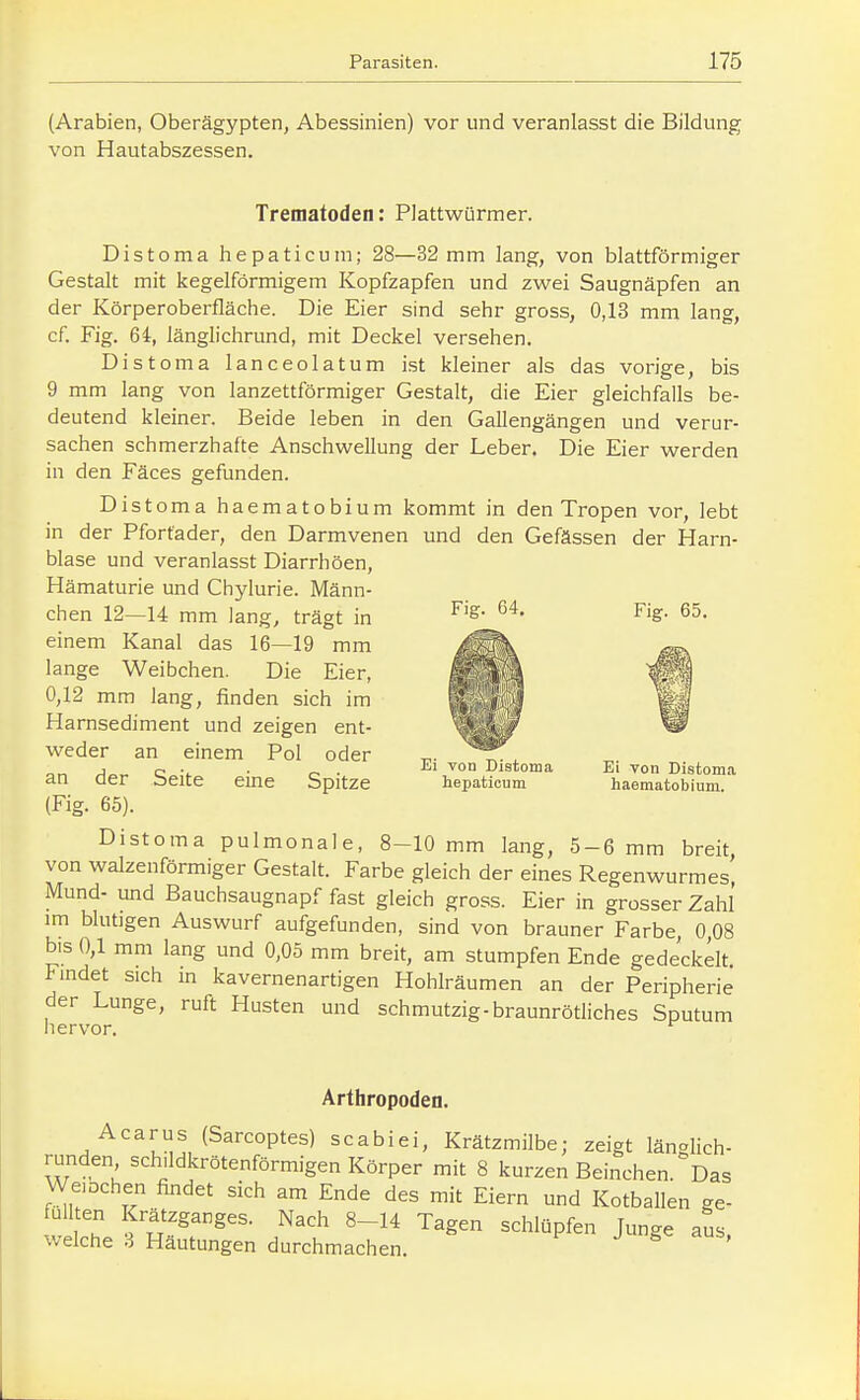 (Arabien, Oberägypten, Abessinien) vor und veranlasst die Bildung von Hautabszessen. Trematoden: Plattwürmer. Distoma hepaticum; 28—32 mm lang, von blattförmiger Gestalt mit kegelförmigem Kopfzapfen und zwei Saugnäpfen an der Körperoberfläche. Die Eier sind sehr gross, 0,13 mm lang, cf. Fig. 64, länglichrund, mit Deckel versehen. Distoma lanceolatum ist kleiner als das vorige, bis 9 mm lang von lanzettförmiger Gestalt, die Eier gleichfalls be- deutend kleiner. Beide leben in den Gallengängen und verur- sachen schmerzhafte Anschwellung der Leber. Die Eier werden in den Fäces gefunden. Distoma haematobium kommt in den Tropen vor, lebt in der Pfortader, den Darmvenen und den Gefässen der Harn- blase und veranlasst Diarrhöen, Hämaturie und Chylurie. Männ- chen 12—14 mm lang, trägt in Fig^64. Fig. 65. einem Kanal das 16—19 mm lange Weibchen. Die Eier, 0,12 mm lang, finden sich im Harnsediment und zeigen ent- weder an einem Pol oder j „ . . iii von Distoma Ei von Distom.a an aer äeite eine bpitze hepaticum haematobium (Fig. 65). Distoma pulmonale, 8-10 mm lang, 5-6 mm breit von walzenförmiger Gestalt. Farbe gleich der eines Regenwurmes! Mund- und Bauchsaugnapf fast gleich gross. Eier in grosser Zahl im blutigen Auswurf aufgefunden, sind von brauner Farbe, 0,08 bis 0,1 mm lang und 0,05 mm breit, am stumpfen Ende gede'ckelt Findet sich in kavernenartigen Hohlräumen an der Peripherie der Lunge, ruft Husten und schmutzig-braunrötliches Sputum hervor. Arthropoden. Acarus (Sarcoptes) scabiei, Krätzmilbe; zeigt länglich- runden sch,ldkrötenförmigen Körper mit 8 kurzen Beinchen. Das Weiochen findet sich am Ende des mit Eiern und Kotballen ge- uU en Krätzganges. Nach 8-14 Tagen schlüpfen Junge aus, welche .i Häutungen durchmachen. ir- j ^