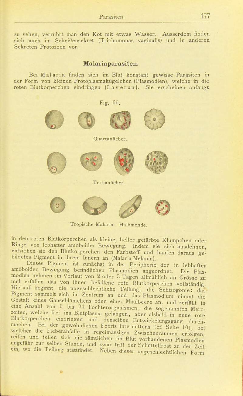 zu sehen, verrührt man den Kot mit etwas Wasser. Ausserdem finden sich auch im Scheidensekret (Trichomonas vaginalis) und in anderen Sekreten Protozoen vor. Malariaparasiten. Bei Malaria finden sich im Blut konstant gewisse Parasiten in der Form von kleinen Protoplasmakügelchen (Plasmodien), welche in die roten Blutkörperchen eindringen (Laveran). Sie erscheinen anfangs Fig. 66. Quartanfieber. Tertianfieber. Tropische Malaria. Halbmonde. in den roten Blutkörperchen als kleine, heller gefärbte Klümpchen oder Ringe von lebhafter amöboider Bewegung. Indem sie sich ausdehnen entziehen sie den Blutkörperchen den Farbstoff und häufen daraus ge- bildetes Pigment in ihrem Innern an (Malaria-Melanin). Dieses Pigment ist zunächst in der Peripherie der in lebhafter amöboider Bewegung befindlichen Plasmodien angeordnet. Die Plas- modien nehmen im Verlauf von 2 oder 3 Tagen allmählich an Grösse zu und erfüllen das von ihnen befallene rote Blutkörperchen vollständig Hierauf beginnt die ungeschlechtliche Teilung, die Schizogonie: das Pigment sammelt sich im Zentrum an und das Plasmodium nimmt die Gestalt eines Gänseblümchens oder einer Maulbeere an, und zerfällt in eine Anzahl von 6 bis 24 Tochterorganismen, die sogenannten Mero- zoiten, welche frei ins Blutplasma gelangen, aber alsbald in neue rote Blutkörperchen eindringen und denselben Entwickelungsgang durch- machen. Bei der gewöhnlichen Febris intermittens (cf. Seite 10) bei welcher die Fieberanfälle in regelmässigen Zwischenräumen erfoVen reifen und teilen sich die sämtlichen im Blut vorhandenen Plasmodien ungefähr zur selben Stunde, und zwar tritt der Schüttelfrost zu der Zeit ein, wo die Teilung stattfindet. Neben dieser ungeschlechtlichen Form