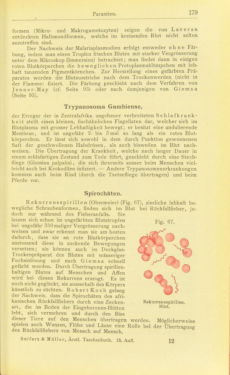 formen (Mikro- und Makrogametozyten) zeigen die von Laveran entdeckten Halbmondformen, welche im kreisenden Blut nicht selten anzutreffen sind. Der Nachweis der Malariaplasmodien erfolgt entweder ohne Fär- bung, indem man einen Tropfen frischen Blutes mit starker Vergrösserung unter dem Mikroskop (Immersion) betrachtet; man findet dann in einigen roten Blutkörperchen die b eweglich en Protoplasmaklümpchen mit leb- haft tanzenden Pigmentkörnchen. Zur Herstellung eines gefärbten Prä- parates werden die Blutausstriche nach dem Trockenwerden (nicht in der Flamme) fixiert. Die Färbung geschieht nach dem Verfahren von Jenner-May (cf. Seite 93) oder nach demjenigen von Giemsa (Seite 93). Trypanosoma Gambiense, der Erreger der in Zentralafrika ungeheuer verbreiteten S c hla fk ran k- heit stellt einen kleinen, fischähnlichen Flagellaten dar, welcher sich im Blutplasma mit grosser Lebhaftigkeit bewegt; er besitzt eine undulierende Membran, und ist ungefähr 2- bis 3 mal so lang als ein rotes Blut- körperchen. Er lässt sich sowohl in dem durch Punktion gew^onnenen Saft der geschwollenen Halsdrüsen, als auch bisweilen im Blut nach- weisen. Die Übertragung der Krankheit, welche nach langer Dauer in einem schlafartigen Zustand zum Tode führt, geschieht durch eine Stech- fliege (Glossina palpalis), die sich ihrerseits ausser beim Menschen viel- leicht auch bei Krokodilen infiziert. — Andere Trypanosomenerkrankungen kommen auch beim Rind (durch die Tsetsefliege übertragen) und beim Pferde vor. Fig. G7. Spirochäten. Rekurrensspirillen (Obermeier) (Fig. 67), zierliche lebhaft be- wegliche Schraubenformen, finden sich im Blut bei Rückfallfieber, je- doch nur während des Fieberanfalls. Sie lassen sich schon im ungefärbten Blutstropfen bei ungefähr 350 maliger Vergrösserung nach- weisen und zwar erkennt man sie am besten dadurch, dass sie an rote Blutkörperchen anstossend diese in zuckende Bewegungen versetzen; sie können auch im Deckglas- Trockenpräparat des Blutes mit wässeriger Fuchsinlösung und nach Giemsa schnell gefärbt werden. Durch Übertragung spirillen- haltigen Blutes auf Menschen und Affen wird bei diesen Rekurrens erzeugt. Es ist noch nicht geglückt, sie ausserhalb des Körpers künstlich zu züchten. RobertKoch gelang der Nachweis, dass die Spirochäten des afri- kanischen Rückfallfiebers durch eine Zecken- art, die im Boden der Eingeborenen-Hütten lebt, sich vermehren und durch den Biss dieser Tiere auf den Menschen übertragen werden. Möglicherweise spielen auch Wanzen, Flöhe und Läuse eine Rolle bei der Übertragung des Rückfallfiebers von Mensch auf Mensch. RekiuTensspirillen. Blut. Seifert&Müller, Ärztl. Taschenbuch. 13. Aufl. 12