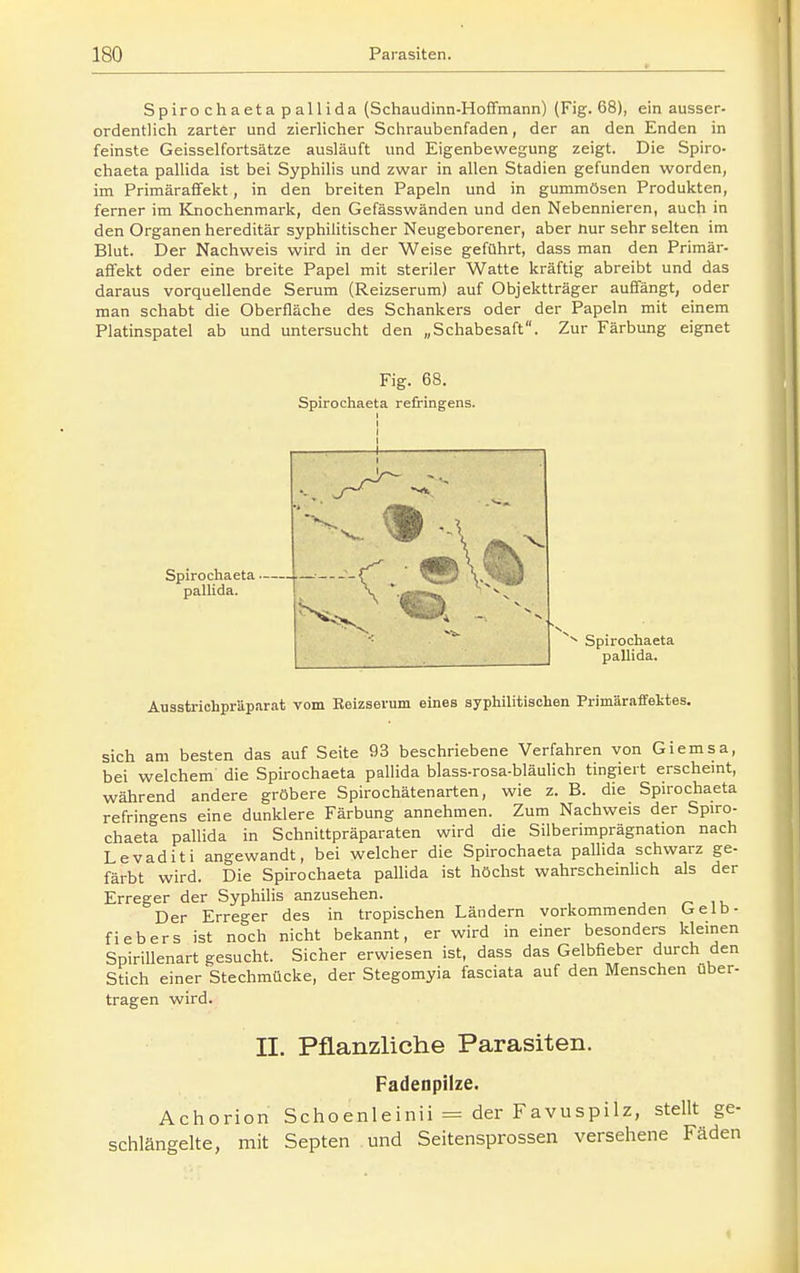 Spirochaetapallida (Schaudinn-HoSmann) (Fig. 68), ein ausser- ordentlich zarter und zierlicher Schraubenfaden, der an den Enden in feinste Geisseifortsätze ausläuft und Eigenbewegung zeigt. Die Spiro- chaeta pallida ist bei Syphilis und zwar in allen Stadien gefunden worden, im Primäraffekt, in den breiten Papeln und in gummösen Produkten, ferner im ICnochenmark, den Gefässwänden und den Nebennieren, auch in den Organen hereditär syphilitischer Neugeborener, aber nur sehr selten im Blut. Der Nachweis wird in der Weise geführt, dass man den Primär- affekt oder eine breite Papel mit steriler Watte kräftig abreibt und das daraus vorquellende Serum (Reizserum) auf Objektträger auffängt, oder man schabt die Oberfläche des Schankers oder der Papeln mit einem Platinspatel ab und untersucht den „Schabesaft. Zur Färbung eignet Fig. 68. Spirochaeta refringens. Spirochaeta pallida. Spirochaeta pallida. Aussiiriohpräparat vom Keizserum eines syphilitischen Primäraffektes. sich am besten das auf Seite 93 beschriebene Verfahren von Glemsa, bei welchem die Spirochaeta pallida blass-rosa-bläulich tingiert erschemt, während andere gröbere Spirochätenarten, wie z. B. die Spirochaeta refringens eine dunklere Färbung annehmen. Zum Nachweis der Spiro- chaeta pallida in Schnittpräparaten wird die Silberimprägnation nach Levaditi angewandt, bei welcher die Spirochaeta paUida schwarz ge- färbt wird. Die Spirochaeta pallida ist höchst wahrscheinlich als der Erreger der Syphilis anzusehen. i u Der Erreger des in tropischen Ländern vorkommenden Gelb- fiebers ist noch nicht bekannt, er wird in einer besonders kleinen Spirillenart gesucht. Sicher erwiesen ist, dass das Gelbfieber durch den Stich einer Stechmücke, der Stegomyia fasciata auf den Menschen uber- tragen wird. II. Pflanzliche Parasiten. Fadenpilze. Achorion Schoenleinii = der Favuspilz, stellt ge- schlängelte, mit Septen und Seitensprossen versehene Fäden