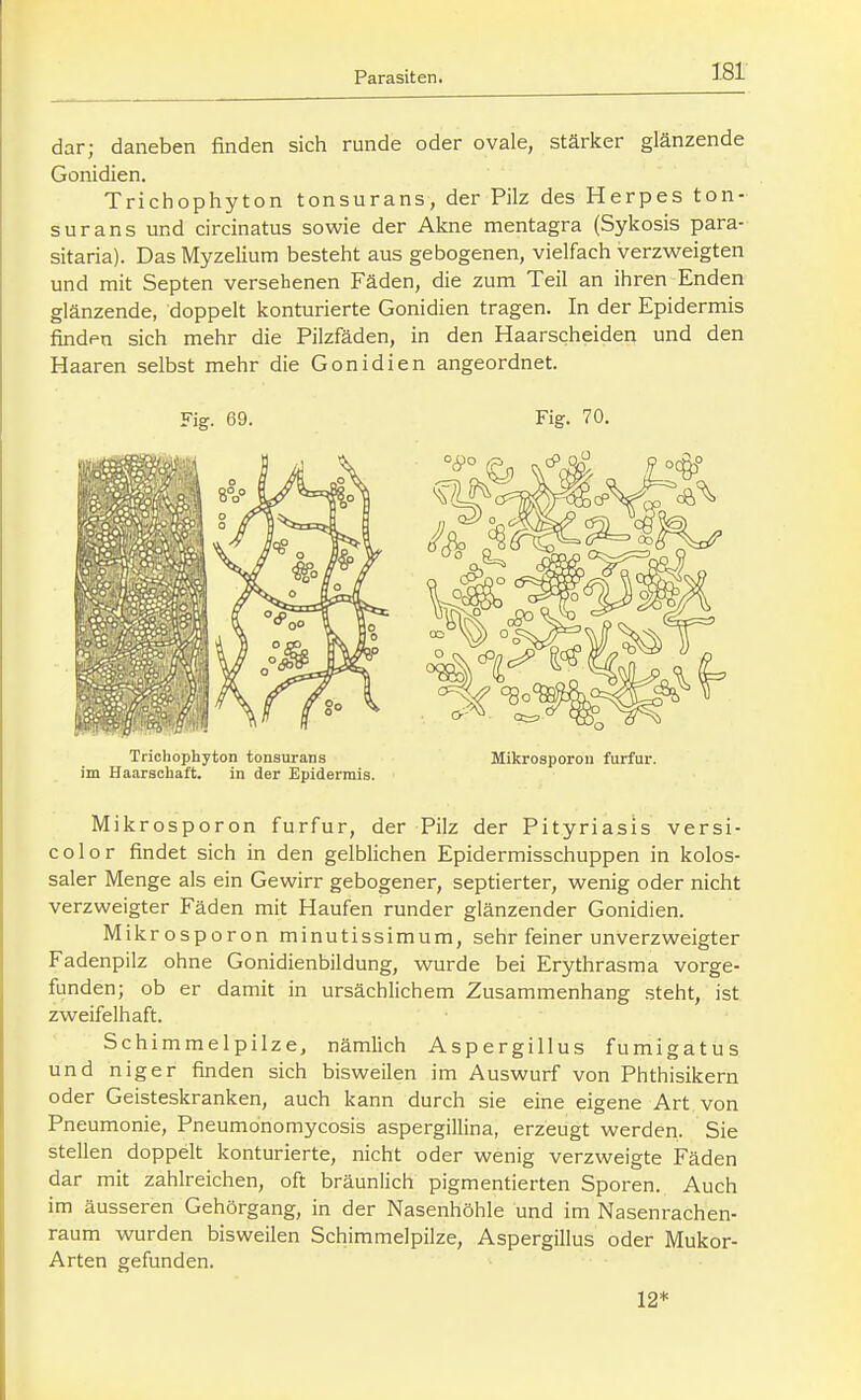 dar; daneben finden sich runde oder ovale, stärker glänzende Gonidien. Trichophyton tonsurans, der Pilz des Herpes ton- surans und circinatus sowie der Alme mentagra (Sykosis para- sitaria). Das Myzelium besteht aus gebogenen, vielfach verzweigten und mit Septen versehenen Fäden, die zum Teil an ihren Enden glänzende, doppelt konturierte Gonidien tragen. In der Epidermis finden sich mehr die Pilzfäden, in den Haarscheiden und den Haaren selbst mehr die Gonidien angeordnet. im Haarschalt. in der Epidermis. Mikrosporon furfur, der Pilz der Pityriasis versi- color findet sich in den gelblichen Epidermisschuppen in kolos- saler Menge als ein Gewirr gebogener, septierter, wenig oder nicht verzweigter Fäden mit Haufen runder glänzender Gonidien. Mikrosporon minutissimum, sehr feiner unverzweigter Fadenpilz ohne Gonidienbildung, w^urde bei Erythrasma vorge- funden; ob er damit in ursächlichem Zusammenhang steht, ist zweifelhaft. Schimmelpilze, nämlich Aspergillus fumigatus und niger finden sich bisweilen im Auswurf von Phthisikern oder Geisteskranken, auch kann durch sie eine eigene Art von Pneumonie, Pneumonomycosis aspergillina, erzeugt werden. Sie stellen doppelt konturierte, nicht oder wenig verzweigte Fäden dar mit zahlreichen, oft bräunlich pigmentierten Sporen. Auch im äusseren Gehörgang, in der Nasenhöhle und im Nasenrachen- raum wurden bisweilen Schimmelpilze, Aspergillus oder Mukor- Arten gefunden. Fig. 69. Fig. 70. Mikrosporon furfur. 12*