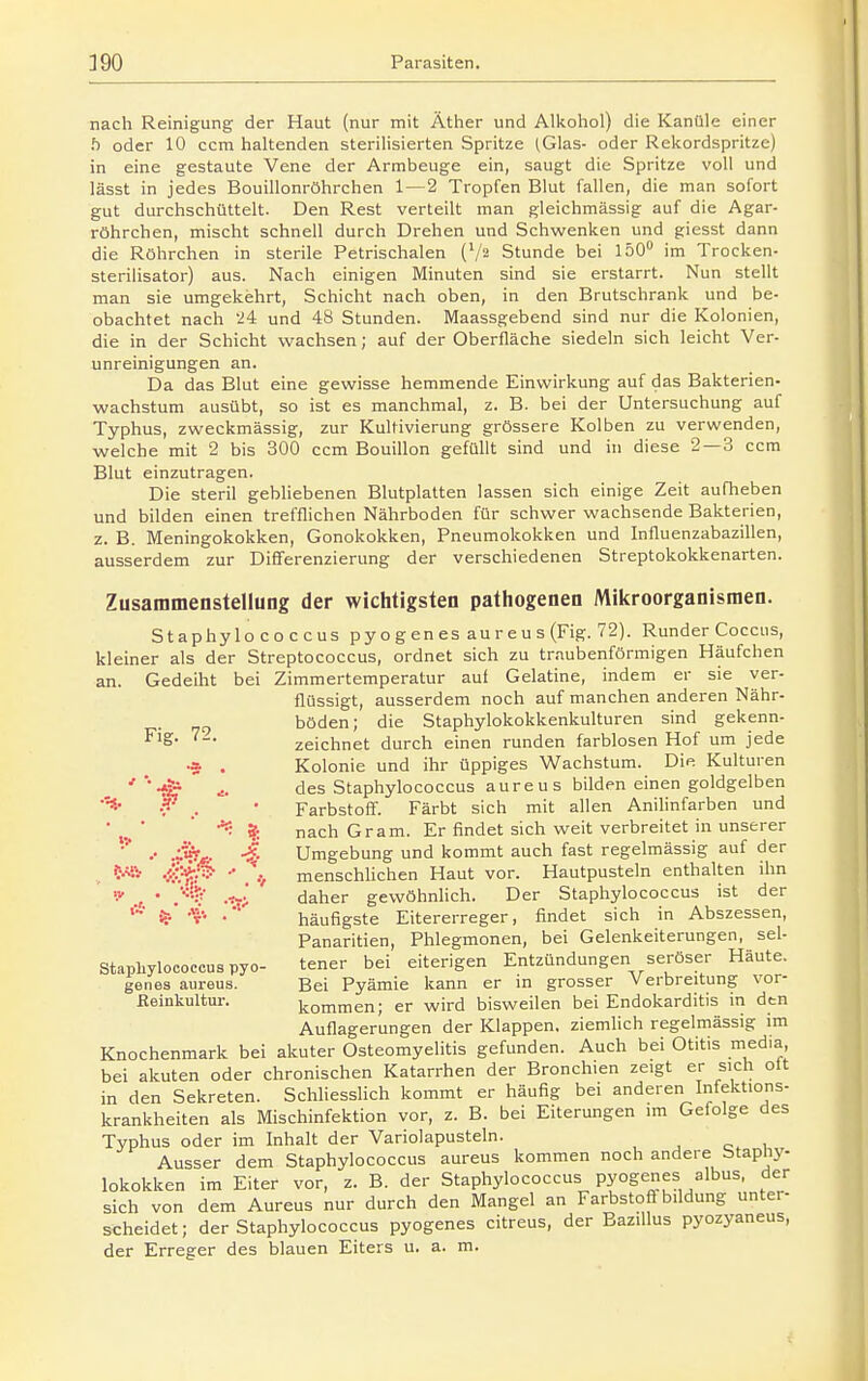 nach Reinigung der Haut (nur mit Äther und Alkohol) die Kanüle einer h oder 10 ccm haltenden sterilisierten Spritze (Glas- oder Rekordspritze) in eine gestaute Vene der Armbeuge ein, saugt die Spritze voll und lässt in jedes Bouillonröhrchen 1 — 2 Tropfen Blut fallen, die man sofort gut durchschüttelt. Den Rest verteilt man gleichmässig auf die Agar- röhrchen, mischt schnell durch Drehen und Schwenken und giesst dann die Röhrchen in sterile Petrischalen (Vs Stunde bei 150 im Trocken- Sterilisator) aus. Nach einigen Minuten sind sie erstarrt. Nun stellt man sie umgekehrt, Schicht nach oben, in den Brutschrank und be- obachtet nach '24 und 48 Stunden. Maassgebend sind nur die Kolonien, die in der Schicht wachsen; auf der Oberfläche siedeln sich leicht Ver- unreinigungen an. Da das Blut eine gewisse hemmende Einwirkung auf das Bakterien- wachstum ausübt, so ist es manchmal, z. B. bei der Untersuchung auf Typhus, zweckmässig, zur Kultivierung grössere Kolben zu verwenden, welche mit 2 bis 300 ccm Bouillon gefüllt sind und in diese 2—3 ccm Blut einzutragen. Die steril gebliebenen Blutplatten lassen sich einige Zeit aufheben und bilden einen trefflichen Nährboden für schwer wachsende Bakterien, z. B. Meningokokken, Gonokokken, Pneumokokken und Influenzabazillen, ausserdem zur Difi'erenzierung der verschiedenen Streptokokkenarten. Zusammenstellung der wichtigsten pathogenen Mikroorganismen. Staphylo coccus p y o g en es au r e u s (Fig. 72). Runder Coccus, kleiner als der Streptococcus, ordnet sich zu trnubenförmigen Häufchen an. Gedeilit bei Zimmertemperatur aut Gelatine, indem er sie ver- flüssigt, ausserdem noch auf manchen anderen Nähr- böden; die Staphylokokkenkulturen sind gekenn- Fig- zeichnet durch einen runden farblosen Hof um jede •5 . Kolonie und ihr üppiges Wachstum. Die Kulturen ' 'des Staphylococcus aureus bilden einen goldgelben -f ^ • Farbstoff. Färbt sich mit allen Anilinfarben und ■ ■ ' ?: nach Gram. Er findet sich weit verbreitet in unserer •• Umgebung und kommt auch fast regelmässig auf der -i^^fß •■ menschhchen Haut vor. Hautpusteln enthalten ihn , • daher gewöhnlich. Der Staphylococcus ist der ''*•■ -f- häufigste Eitererreger, findet sich in Abszessen, Panaritien, Phlegmonen, bei Gelenkeiterungen, sel- Staphylooocouapyo- teuer bei eiterigen Entzündungen seröser Häute, genes aureus. Bei Pyämie kann er m grosser Verbreitung vor- ßeinkultur. kommen; er wird bisweilen bei Endokarditis in den Auflagerungen der Klappen, ziemlich regelmässig im Knochenmark bei akuter Osteomyelitis gefunden. Auch bei Otitis media, bei akuten oder chronischen Katarrhen der Bronchien zeigt er sich olt in den Sekreten. SchhessHch kommt er häufig bei anderen Infektions- krankheiten als Mischinfektion vor, z. B. bei Eiterungen im Gefolge des Typhus oder im Inhalt der Variolapusteln. Ausser dem Staphylococcus aureus kommen noch andere Staphy- lokokken im Eiter vor, z. B. der Staphylococcus pyogenes albus, der sich von dem Aureus nur durch den Mangel an Farbstoff bildung unter- scheidet; der Staphylococcus pyogenes citreus, der Bazillus pyozyaneus,